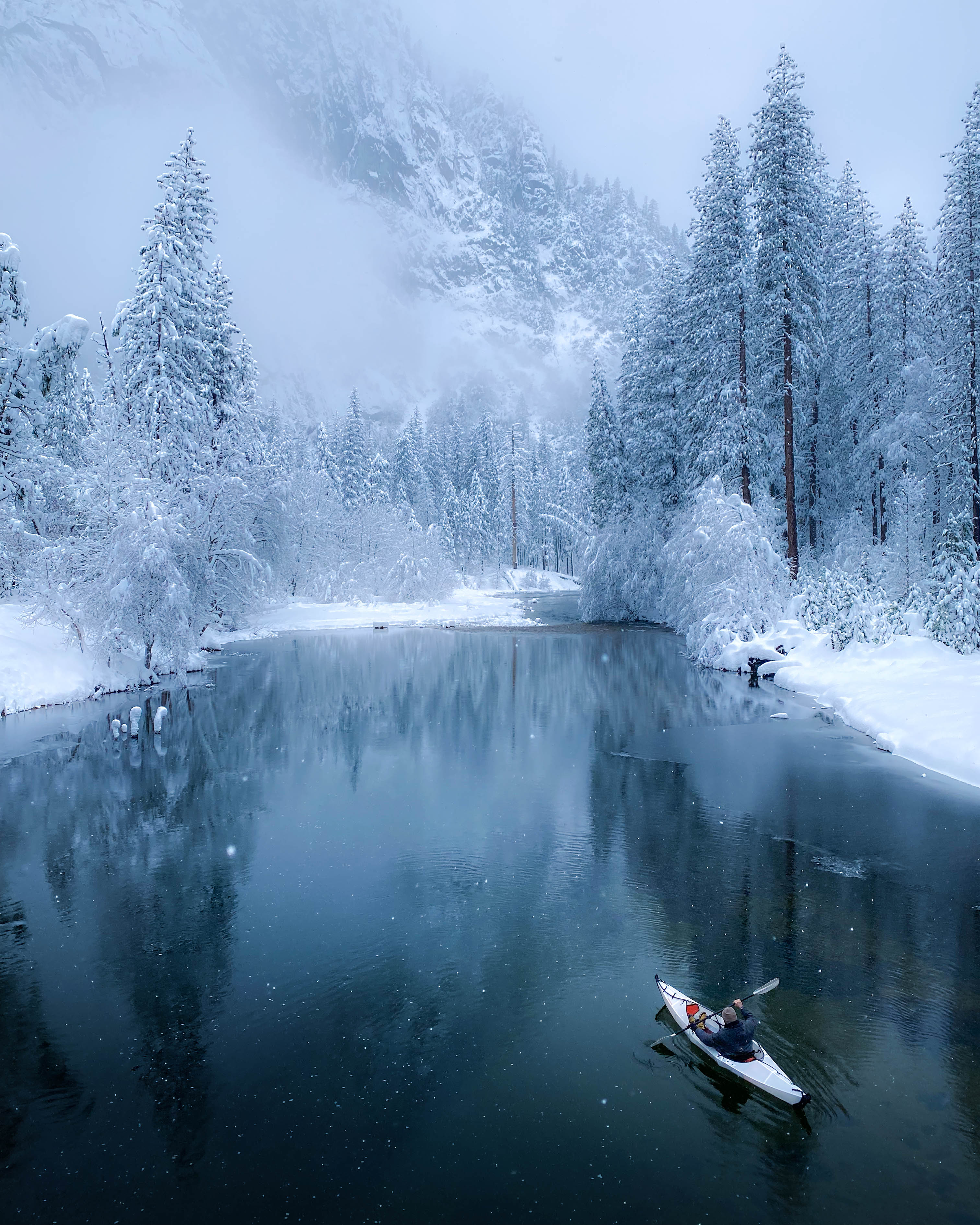 CS Community Collection #119