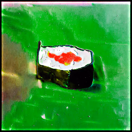 Spinomugil glacialis (100)