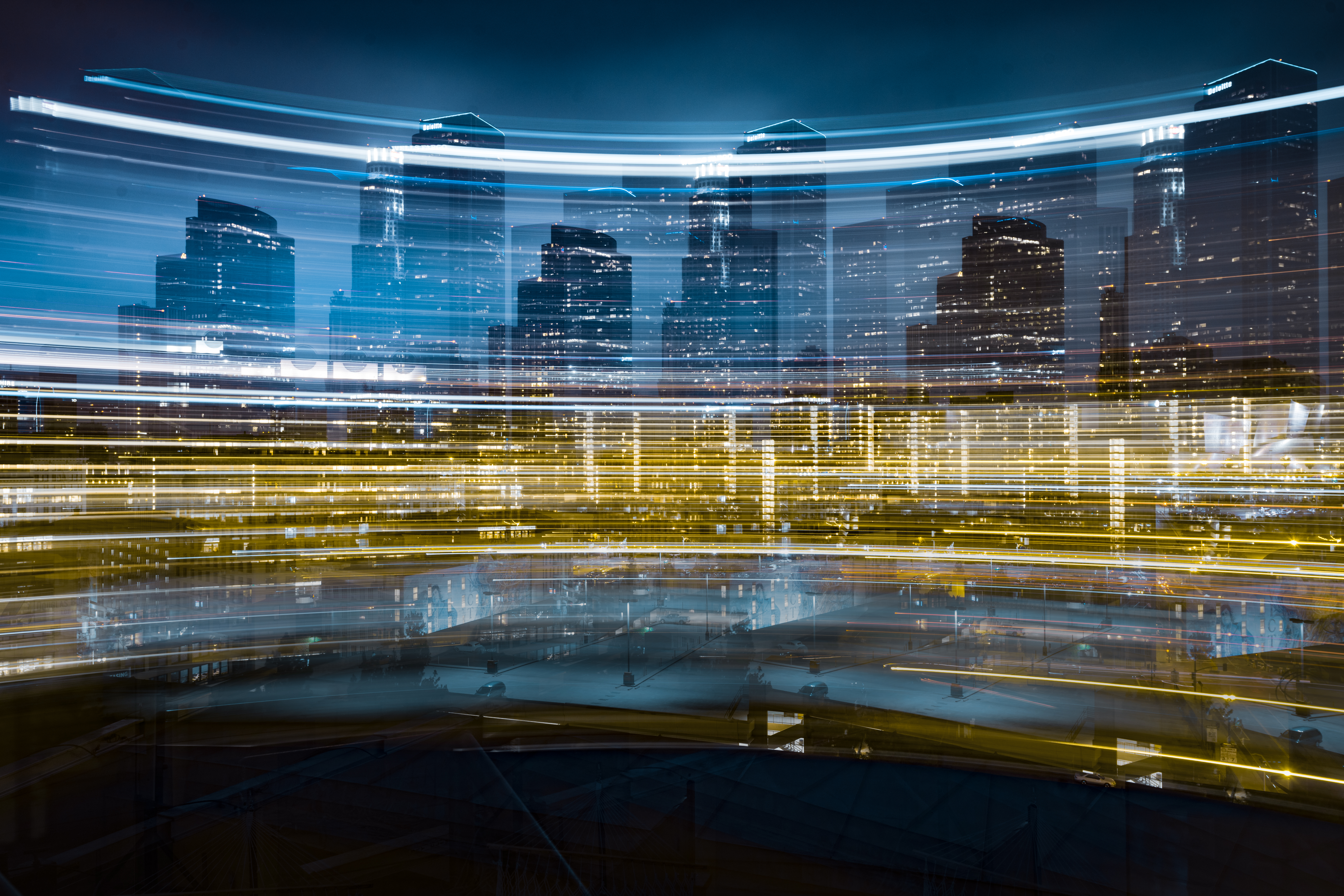 Circuit Board Species Los Angeles-0879.NEF