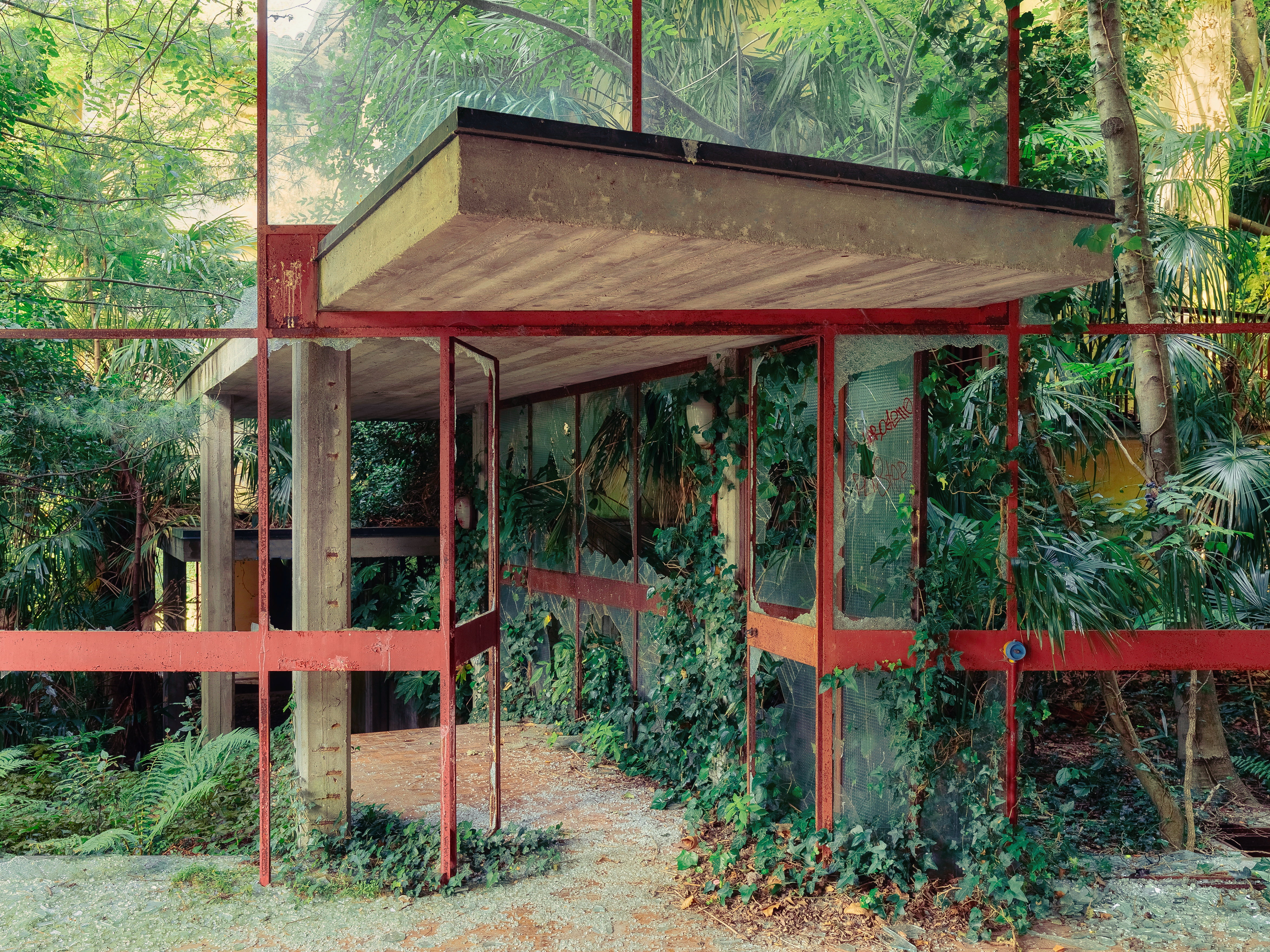JUNGLE CAMP