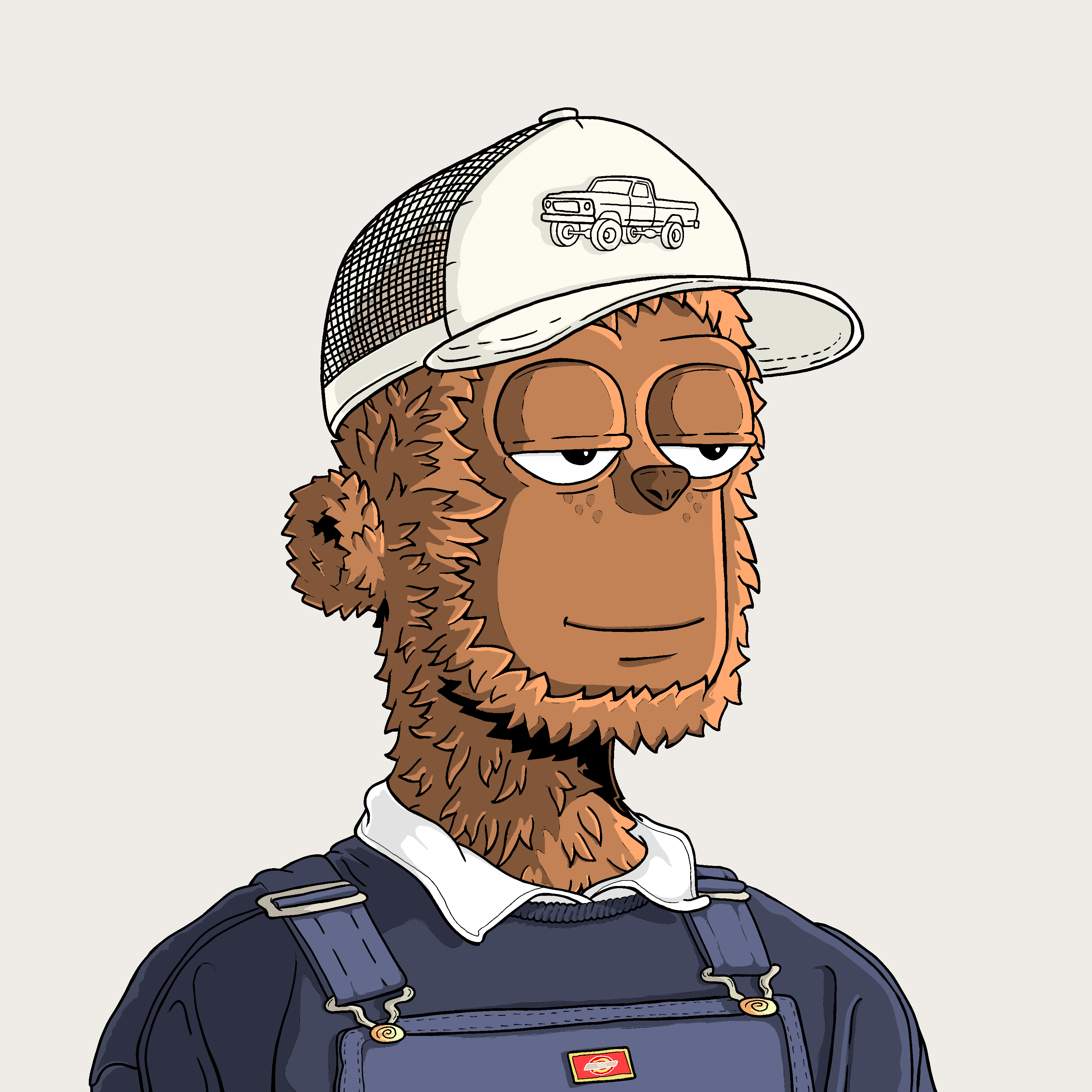 0xshakib.eth Ethereum Name Service (ENS and .eth domain) PFP