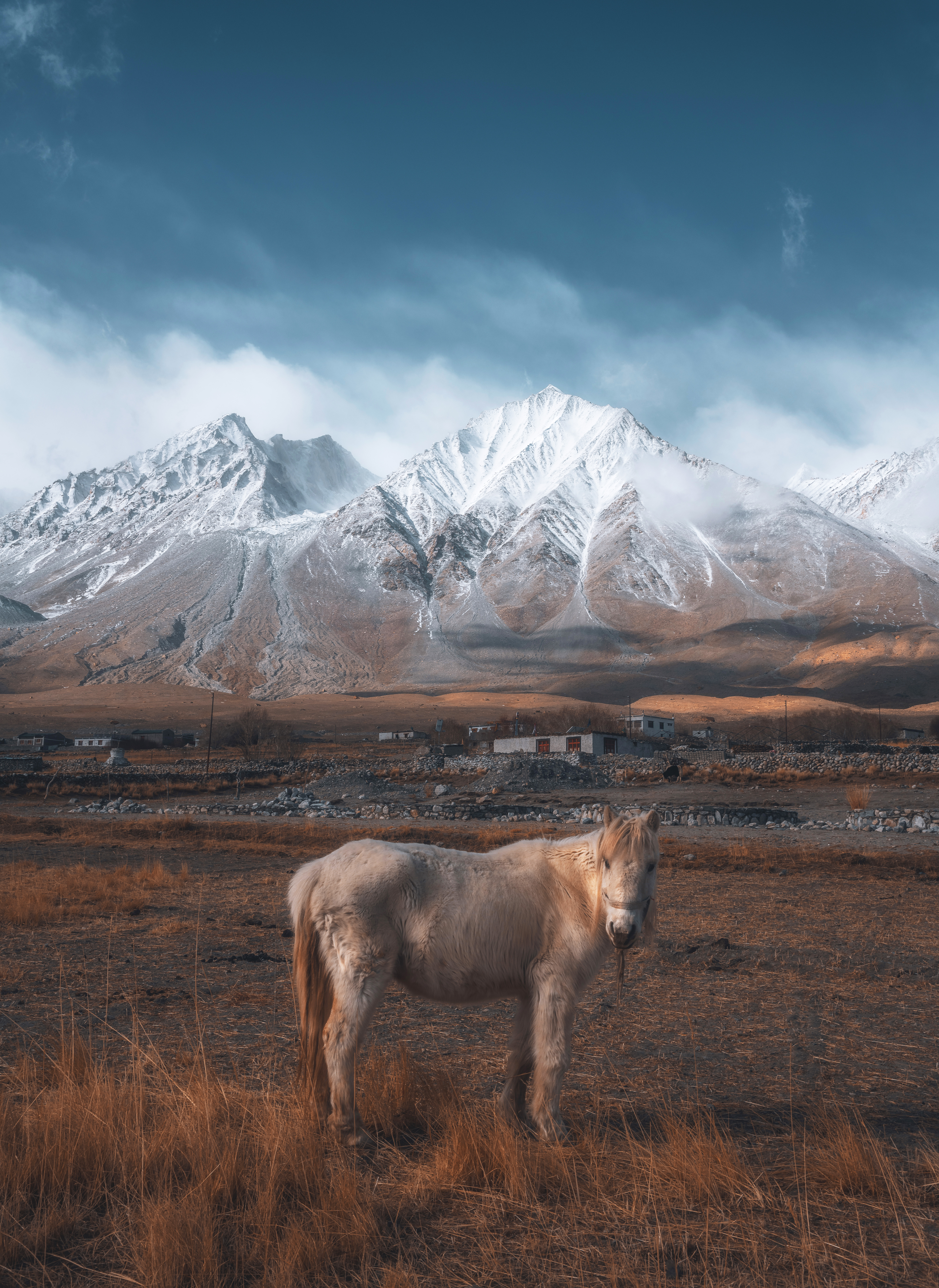 Solitude in Himalayas 