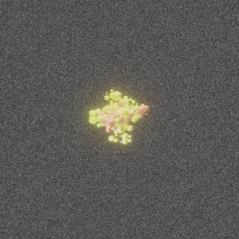 CryptoCube#253