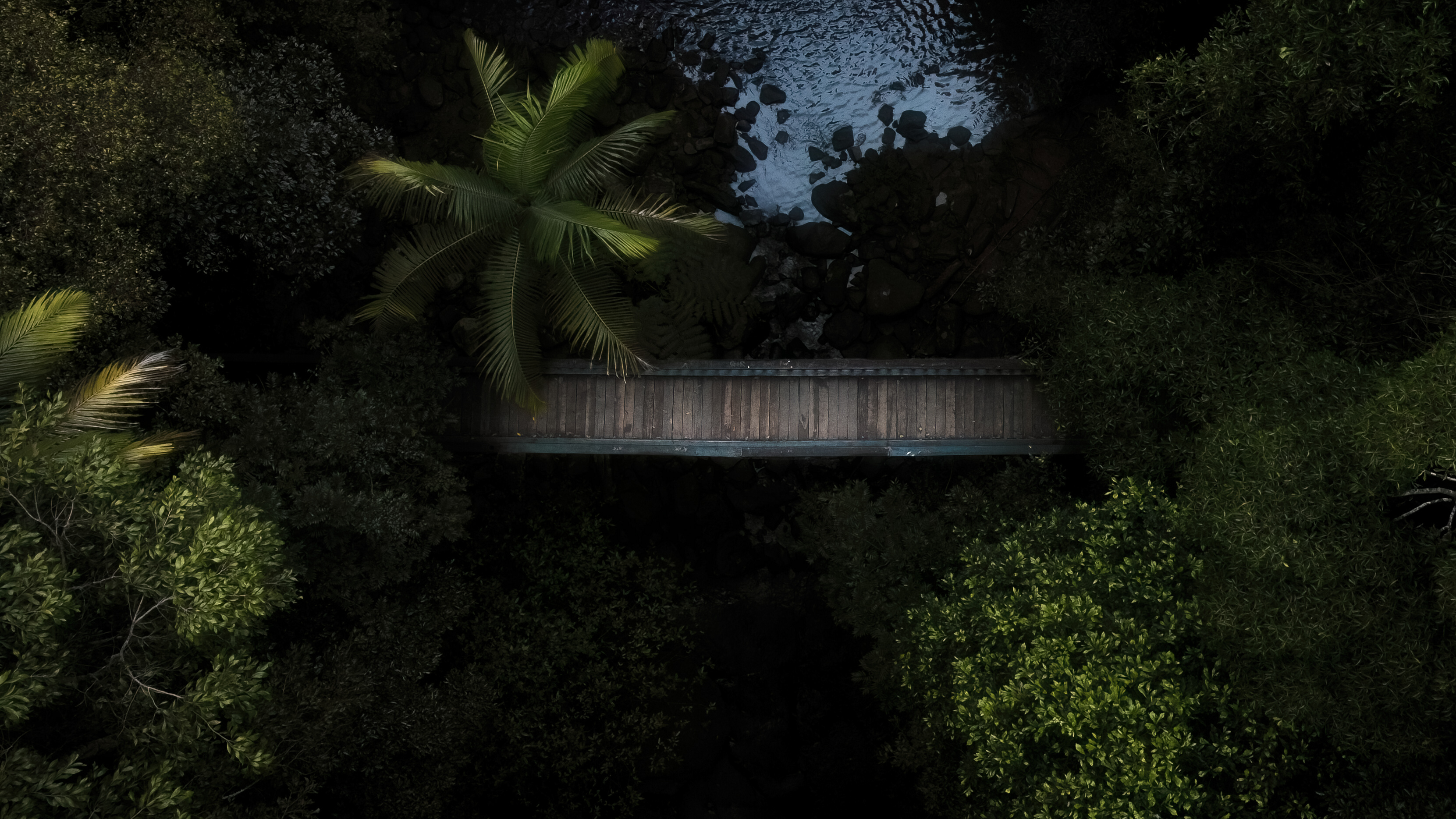 Welcome to the jungle