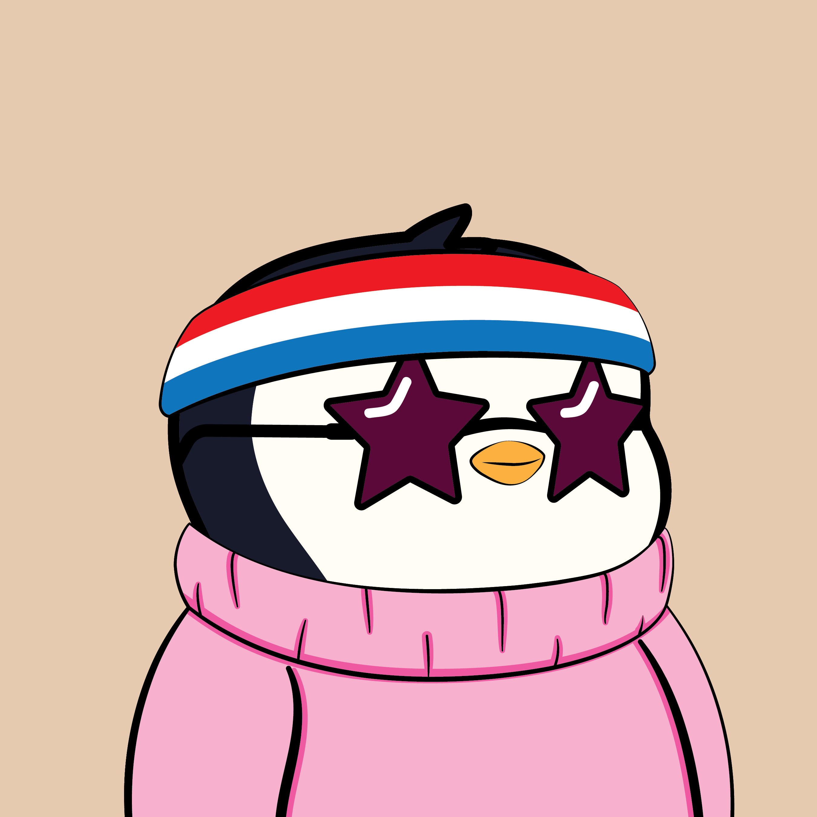 Pudgy #6897