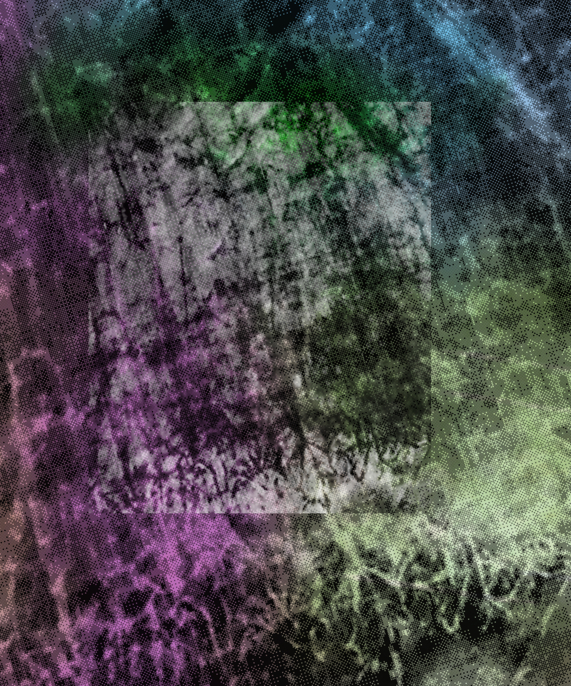 the spring begins with the first rainstorm #13