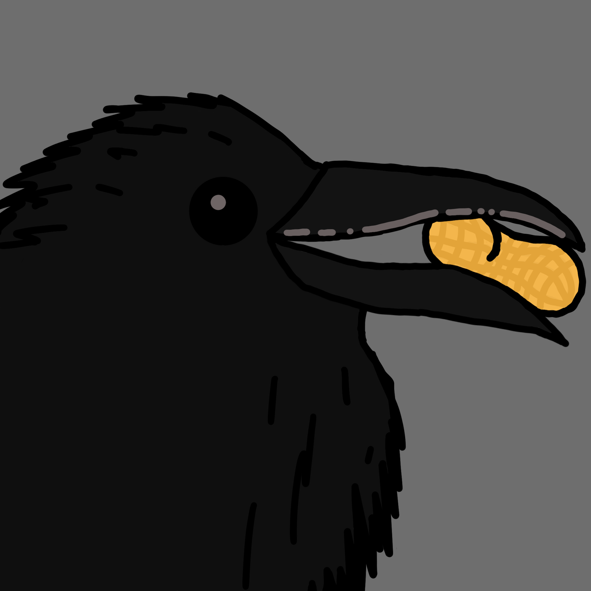 Crow Friends #454