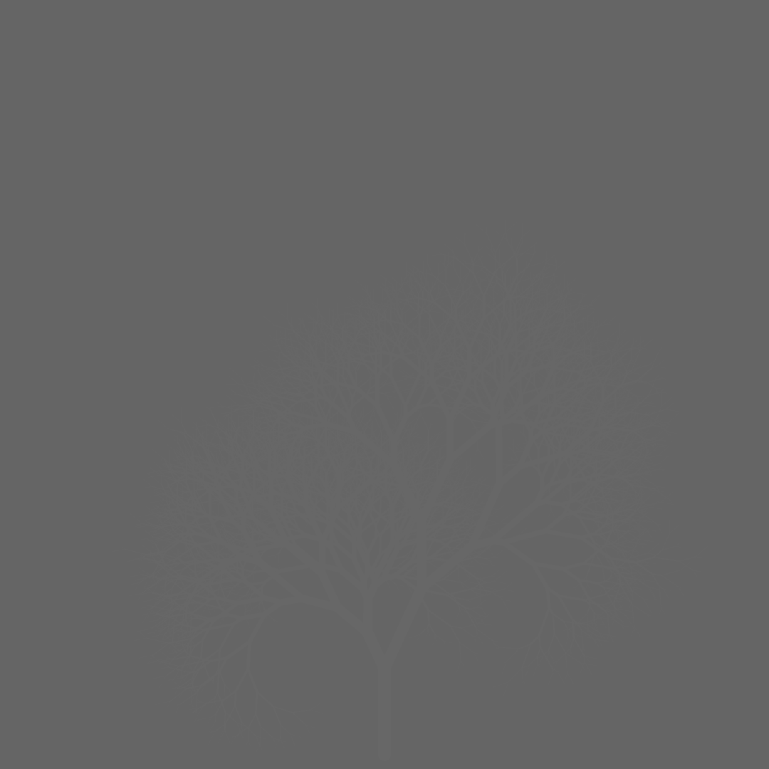 Magic Forest Tree #56