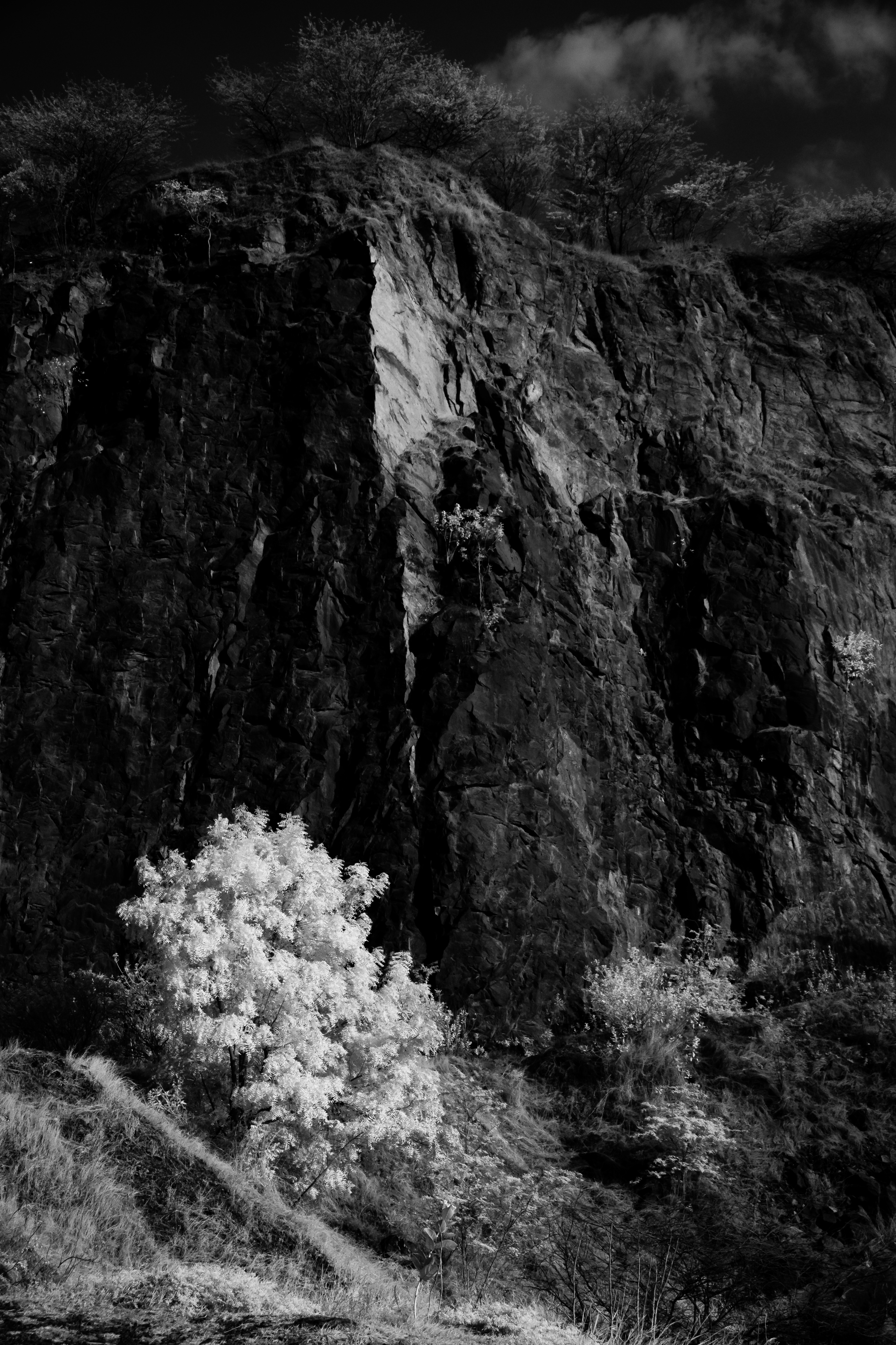 Dome, beyond the reds (Infrared) #10