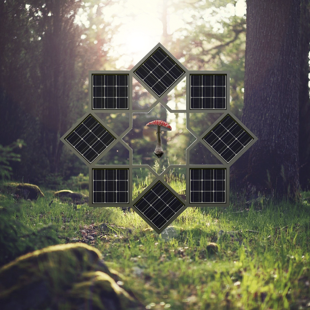 Solstice Star #33