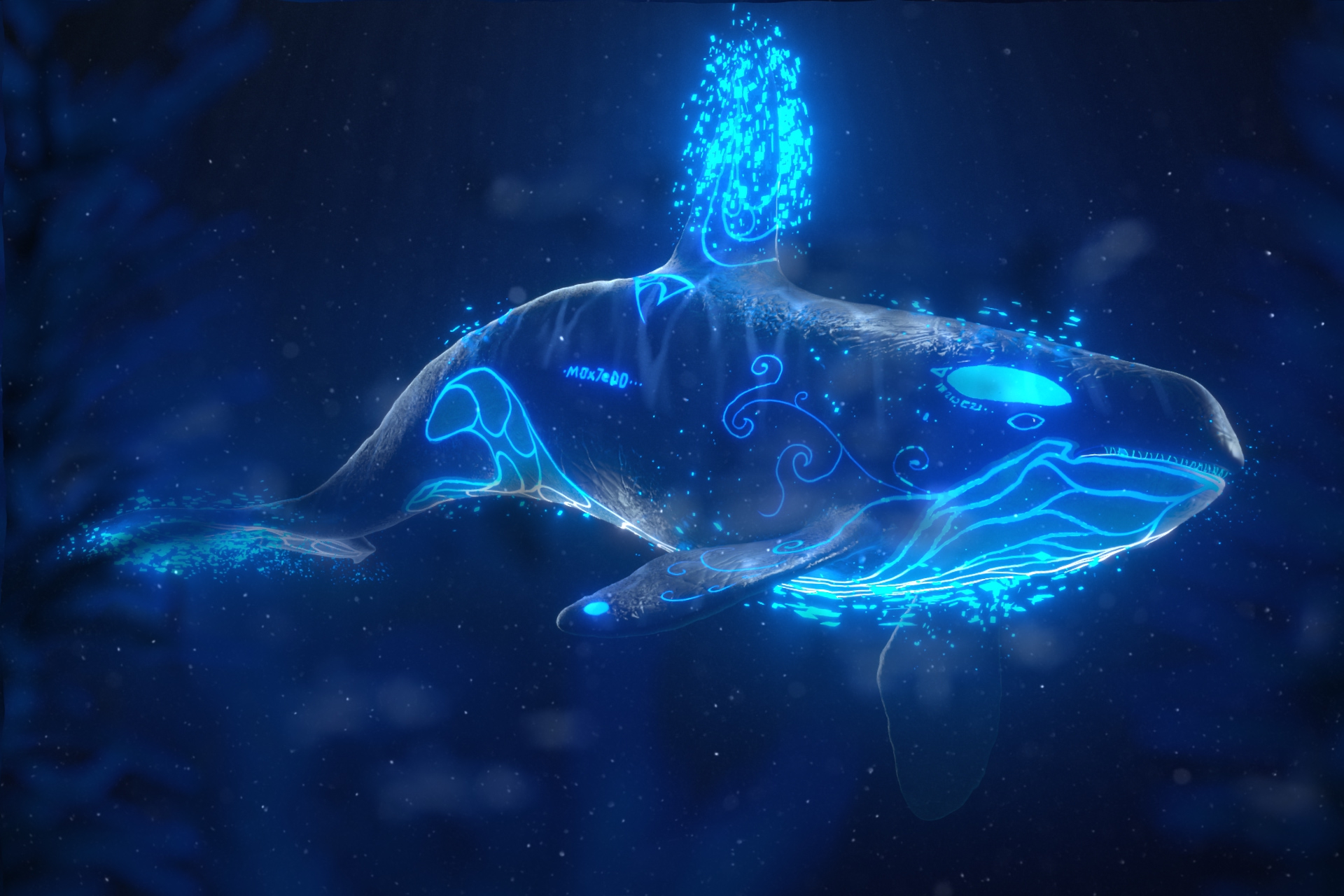 In the name of the Orca