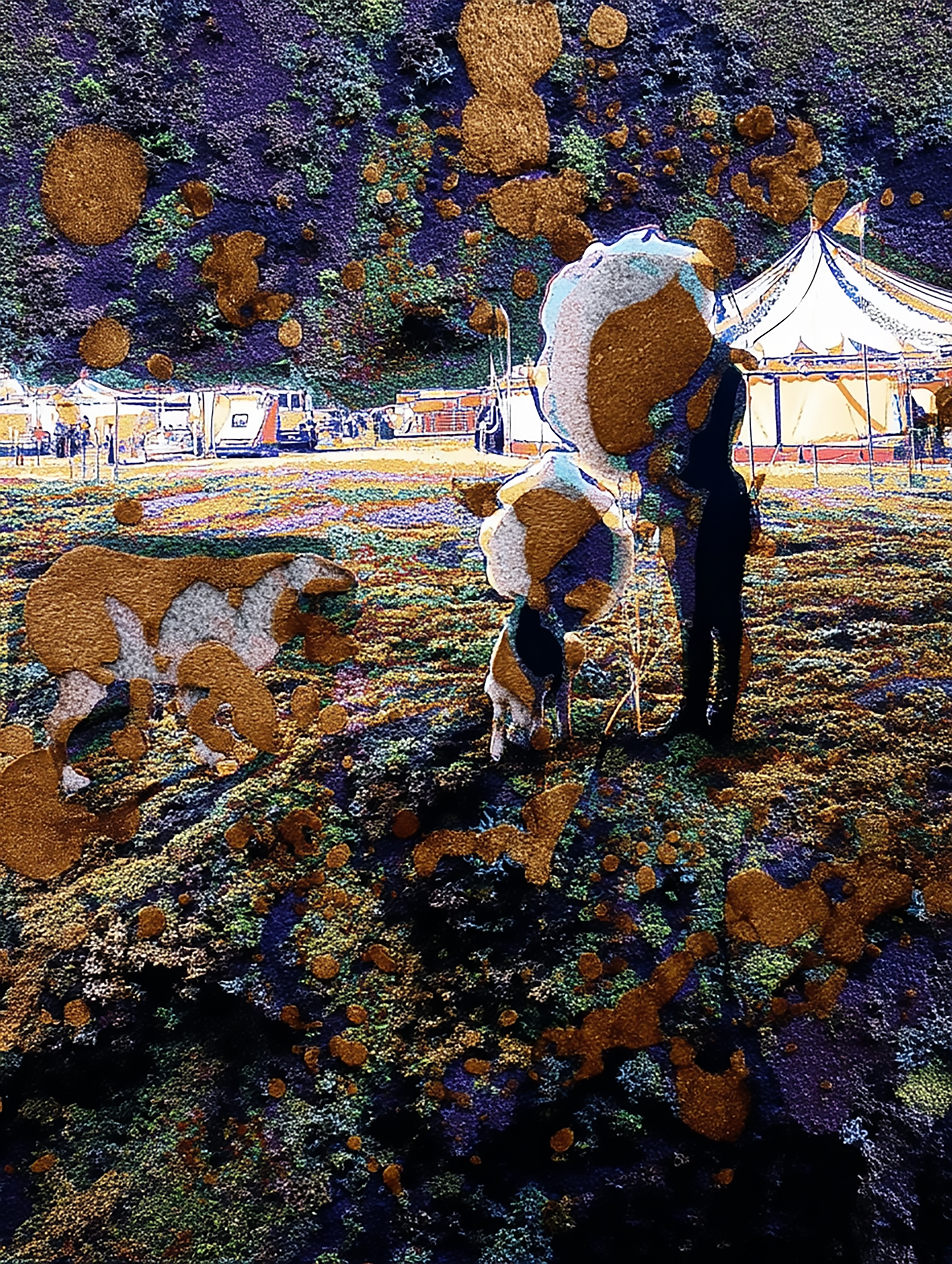 Index 07–20:R04 Circus / Цирк