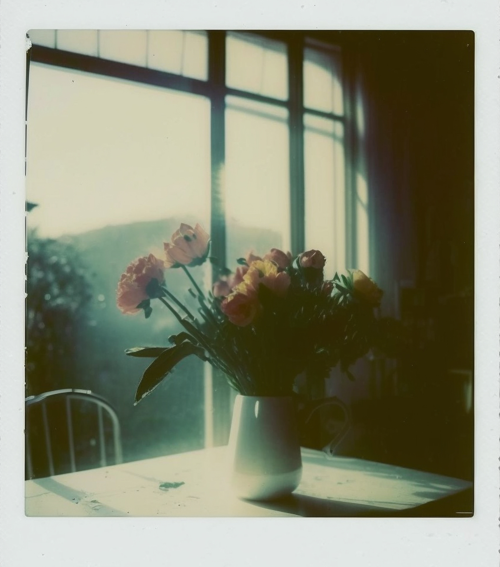 Poppy Peony, Instant Photo (polaroid), 1979