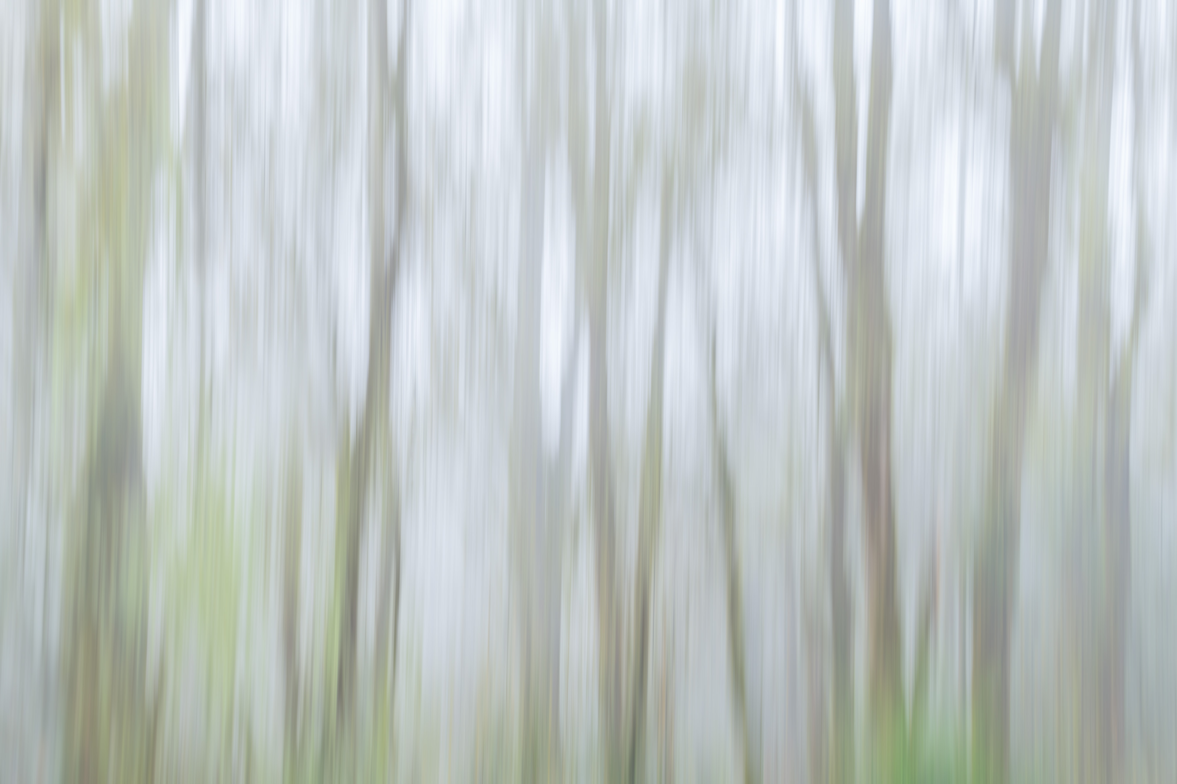 Fog Catcher
