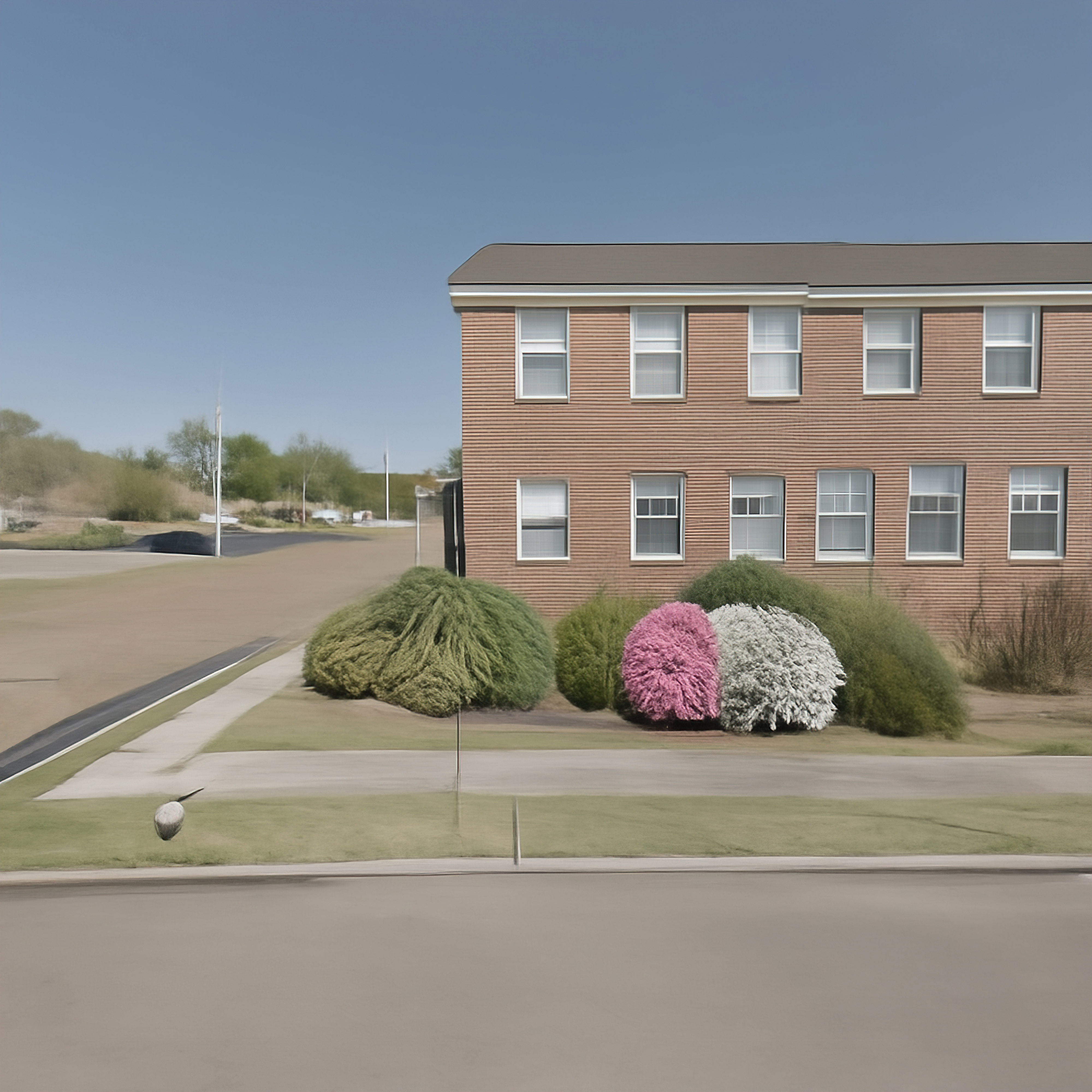 Flora of Argelton Lane 058