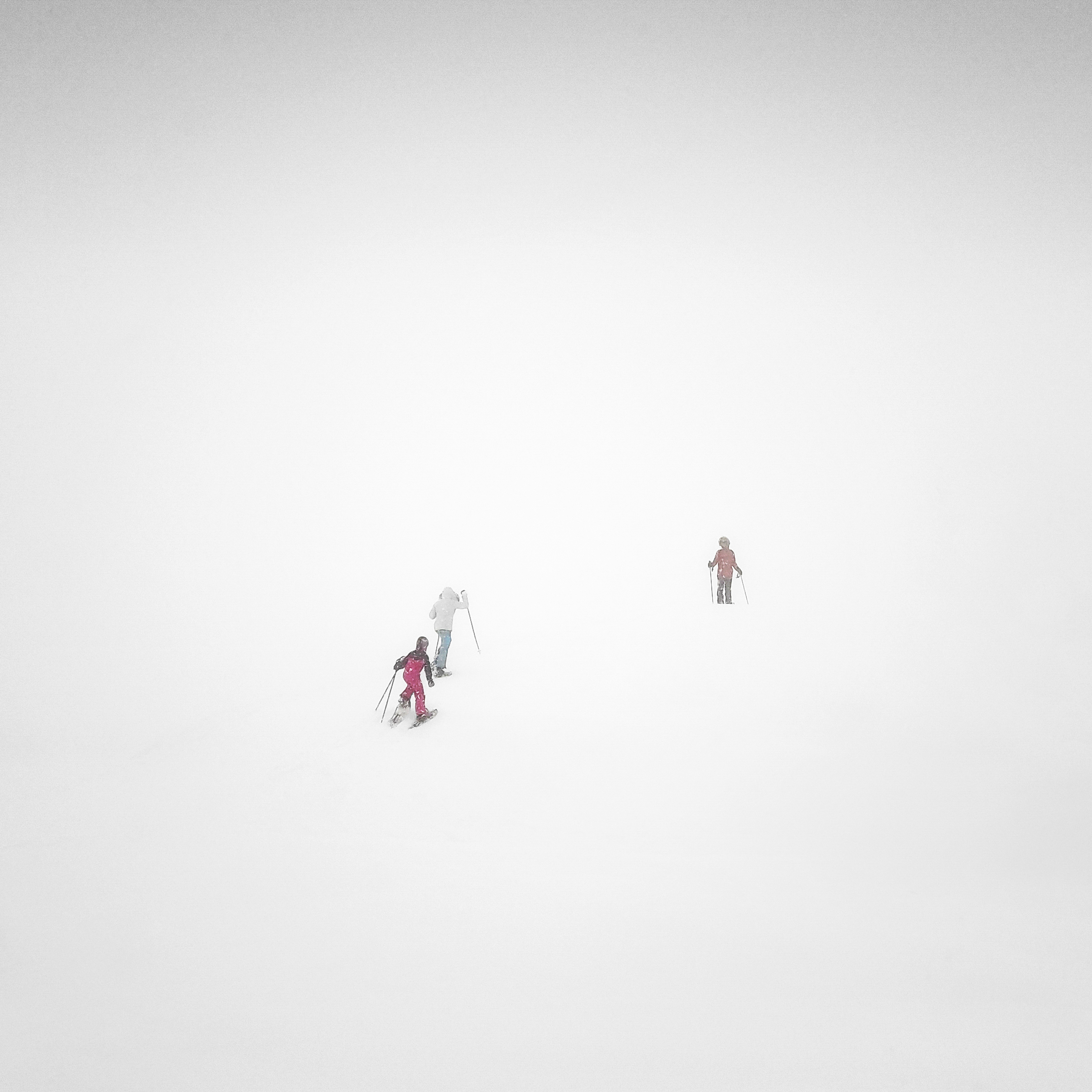 In the Morning Light