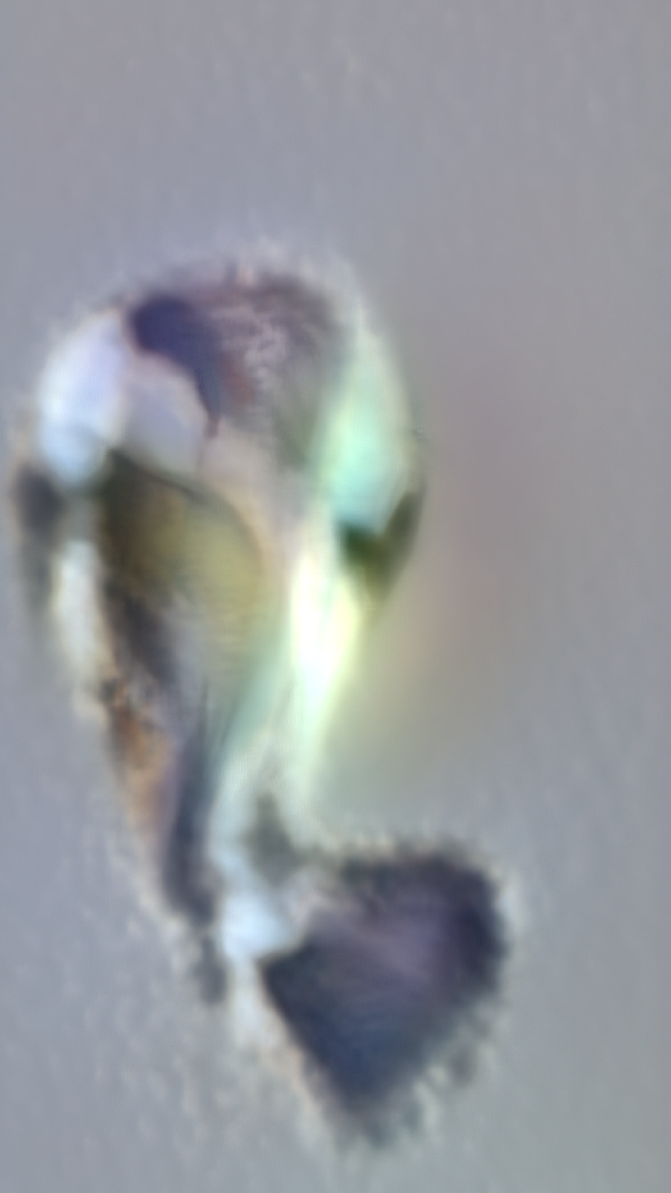 Latent Drift #12 — Latent Drift