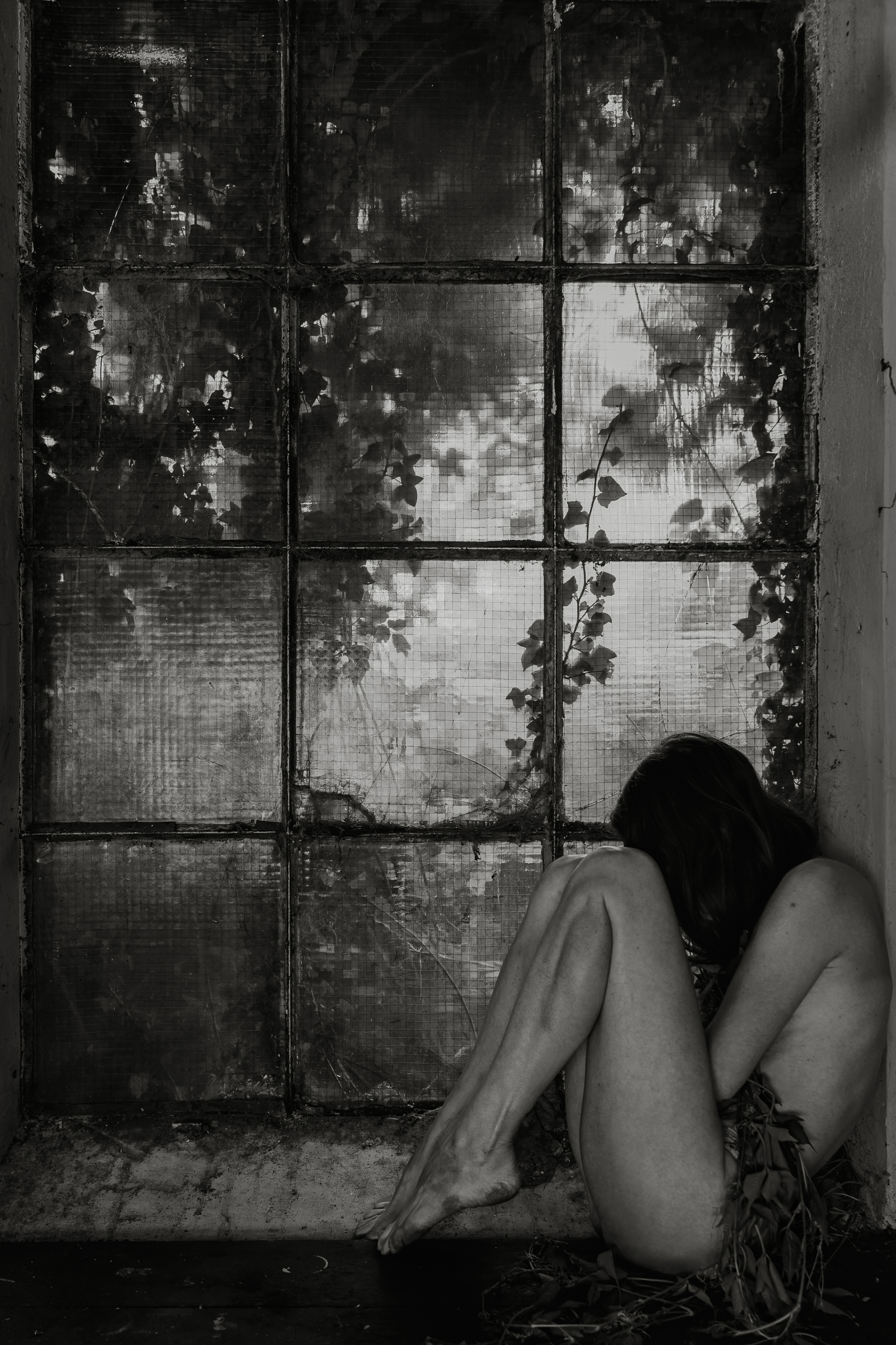 Nature's Remembrance 8