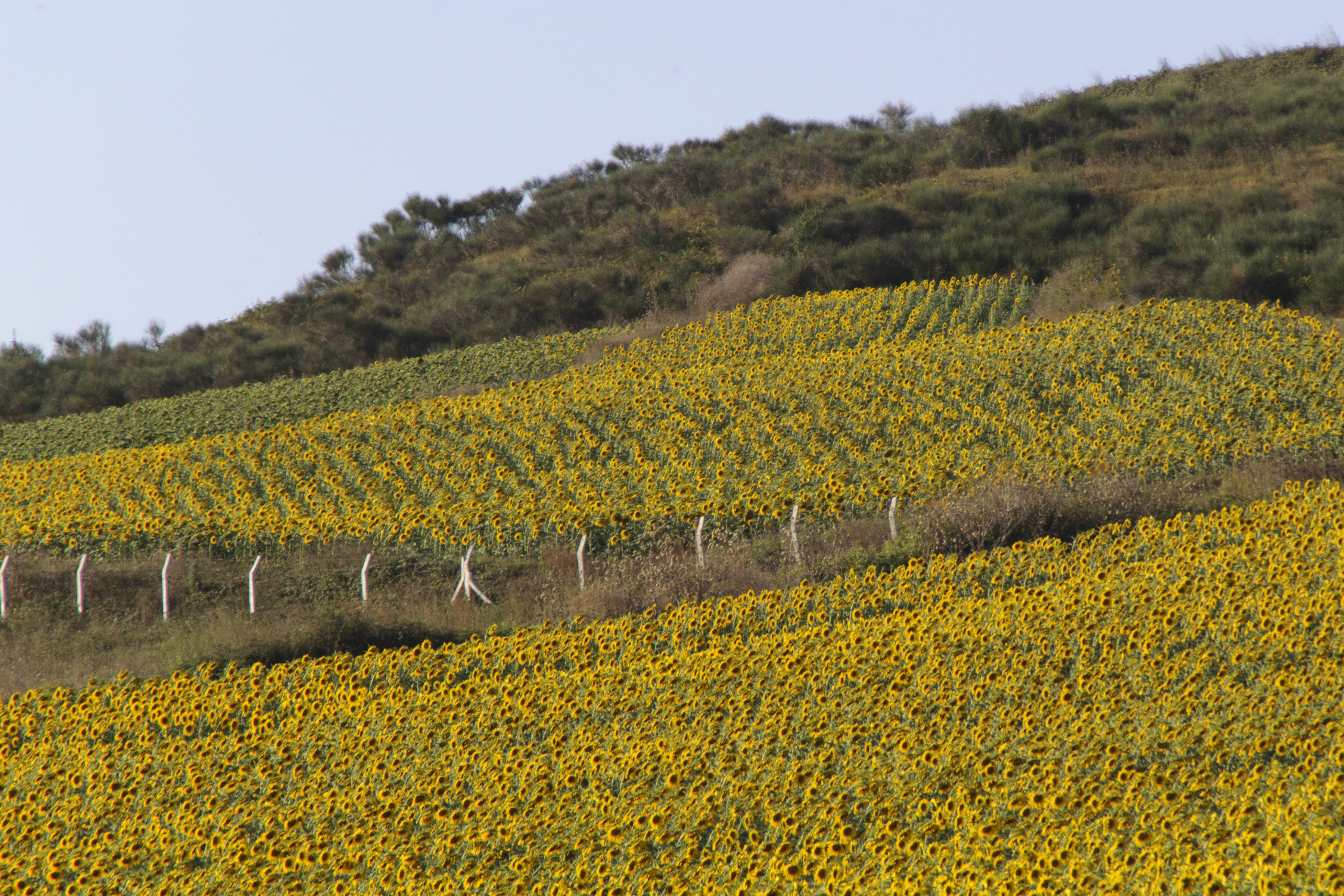 A Picture in Time #22