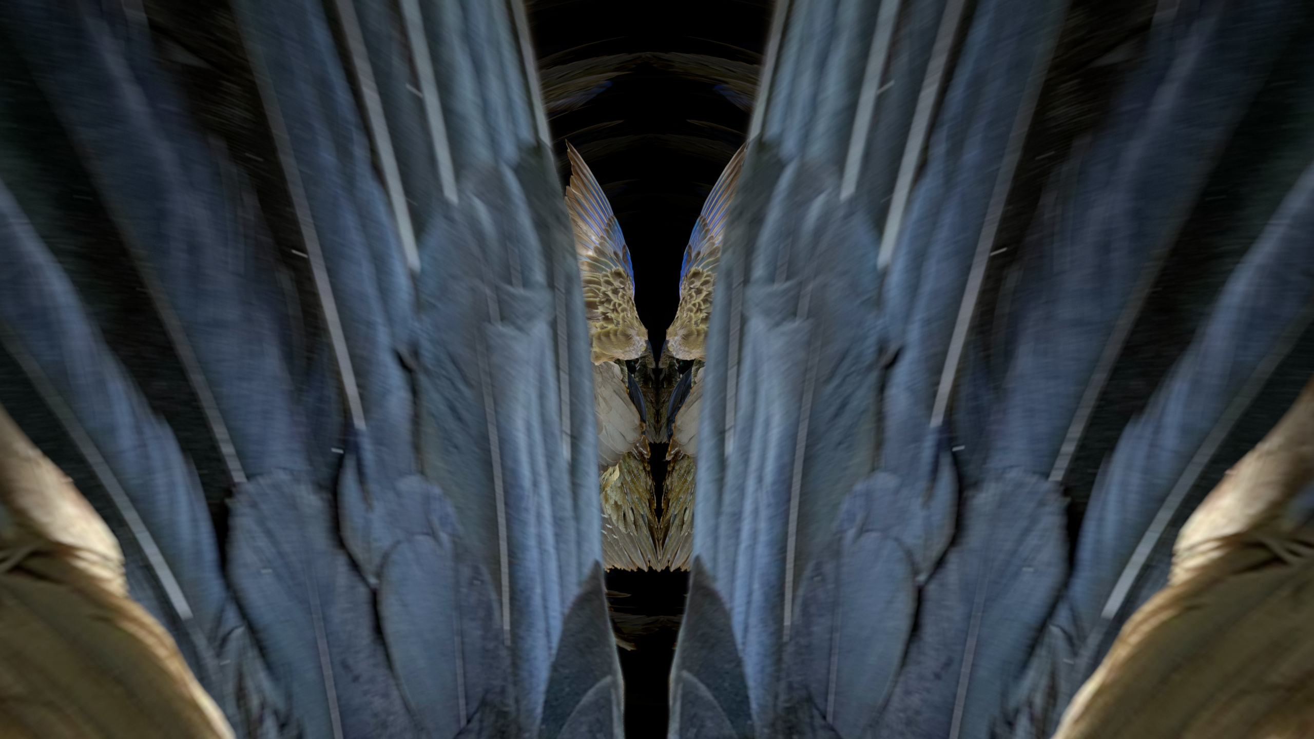 Fuga delle Sirene XIX