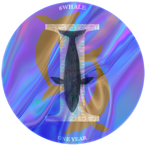 $WHALE 1 year anniversary