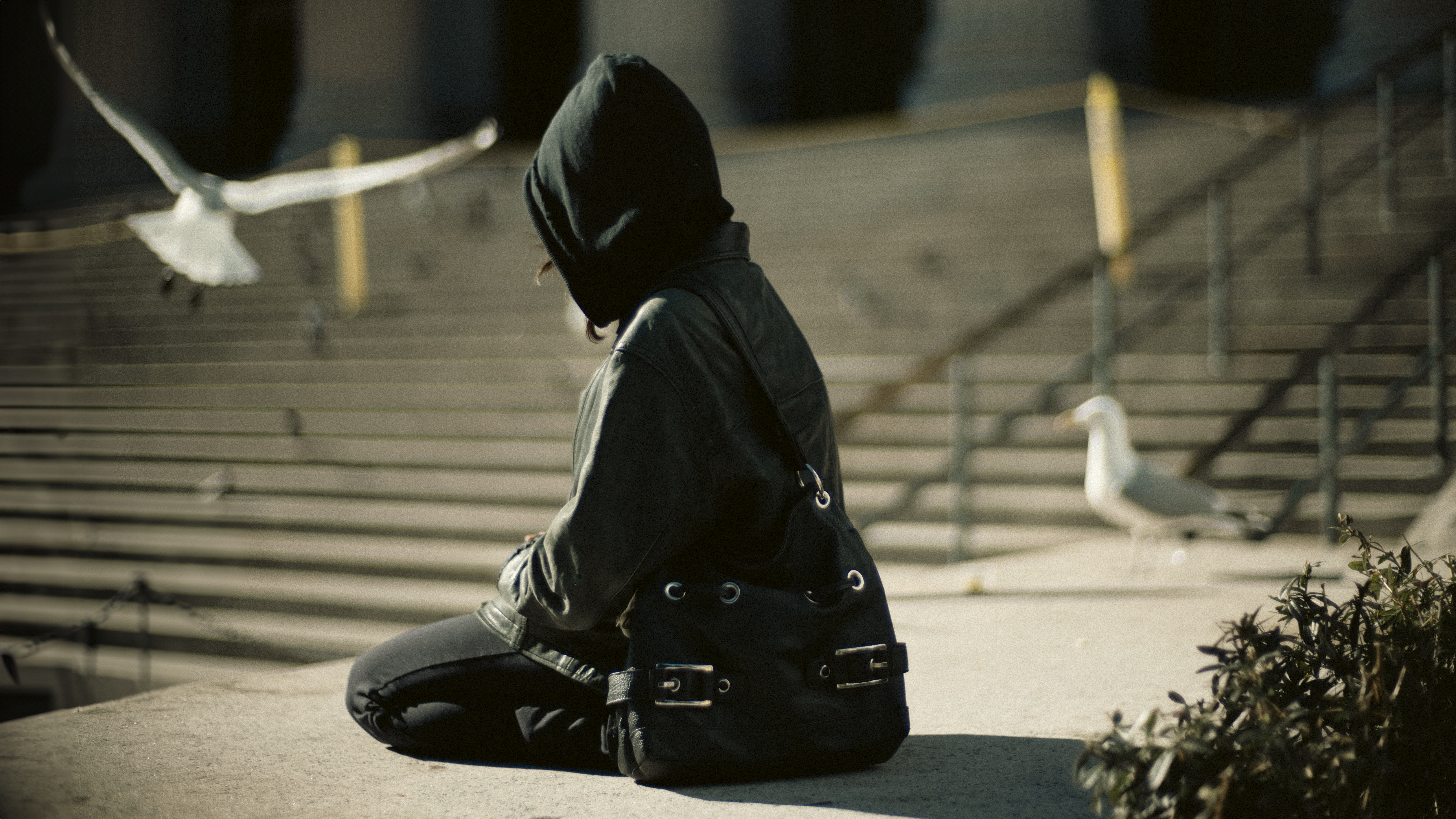 Feb 06, 2024 -  Serena