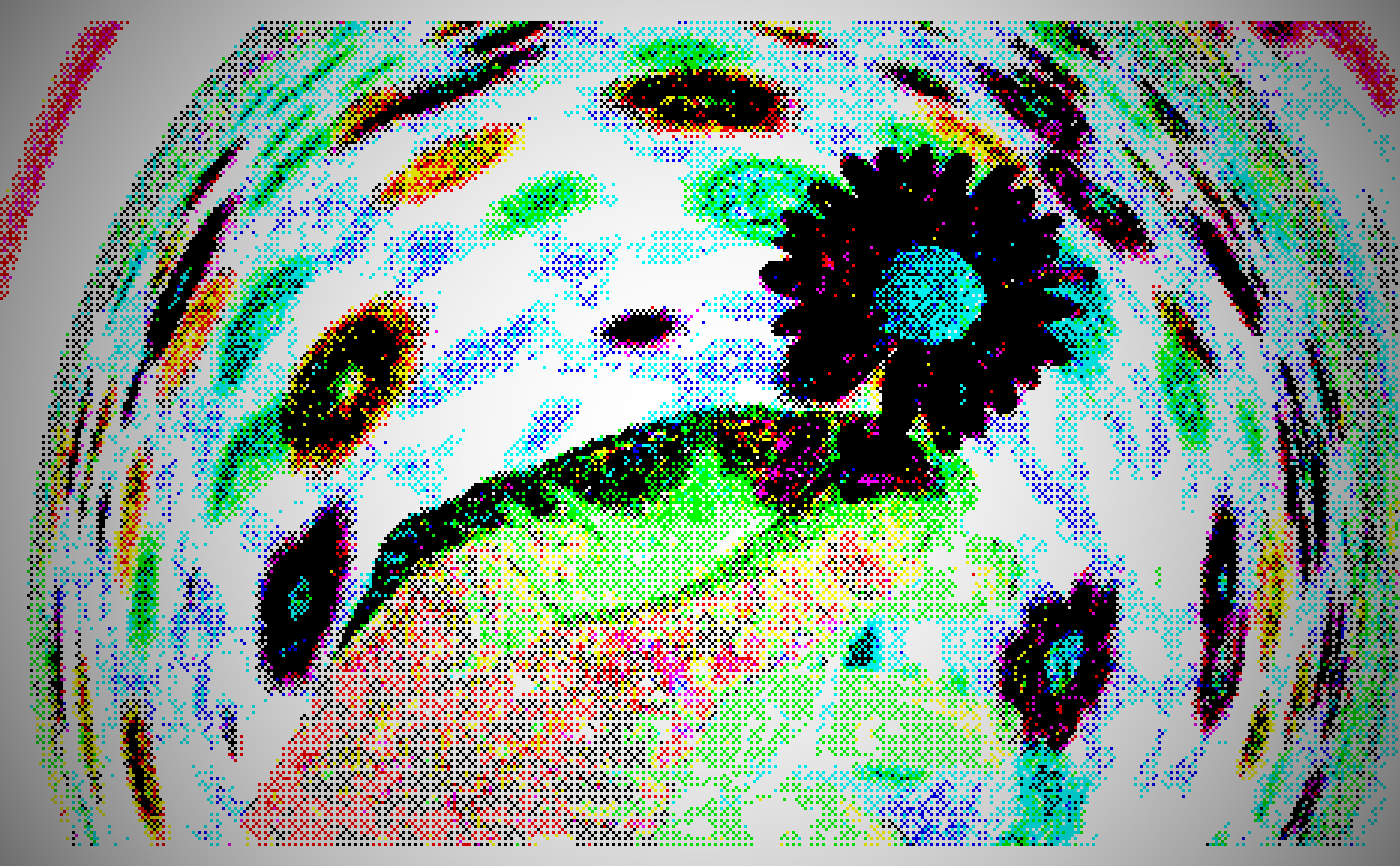 I see you in the flowers