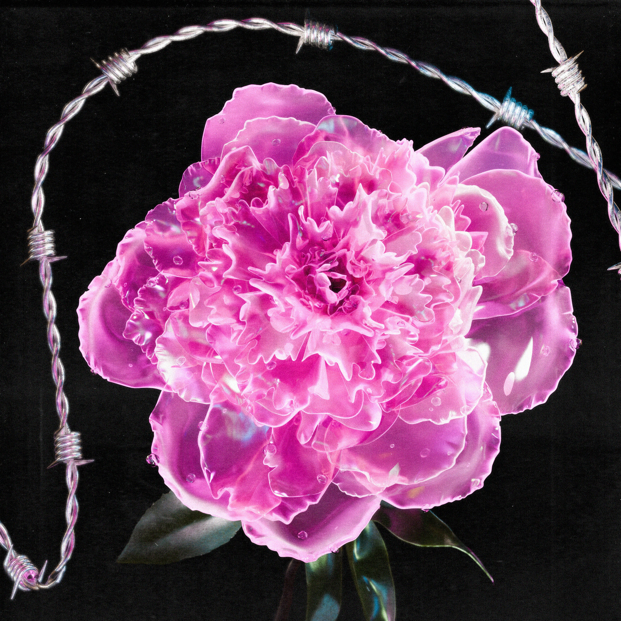 Flower #34 by Olivia Pedigo