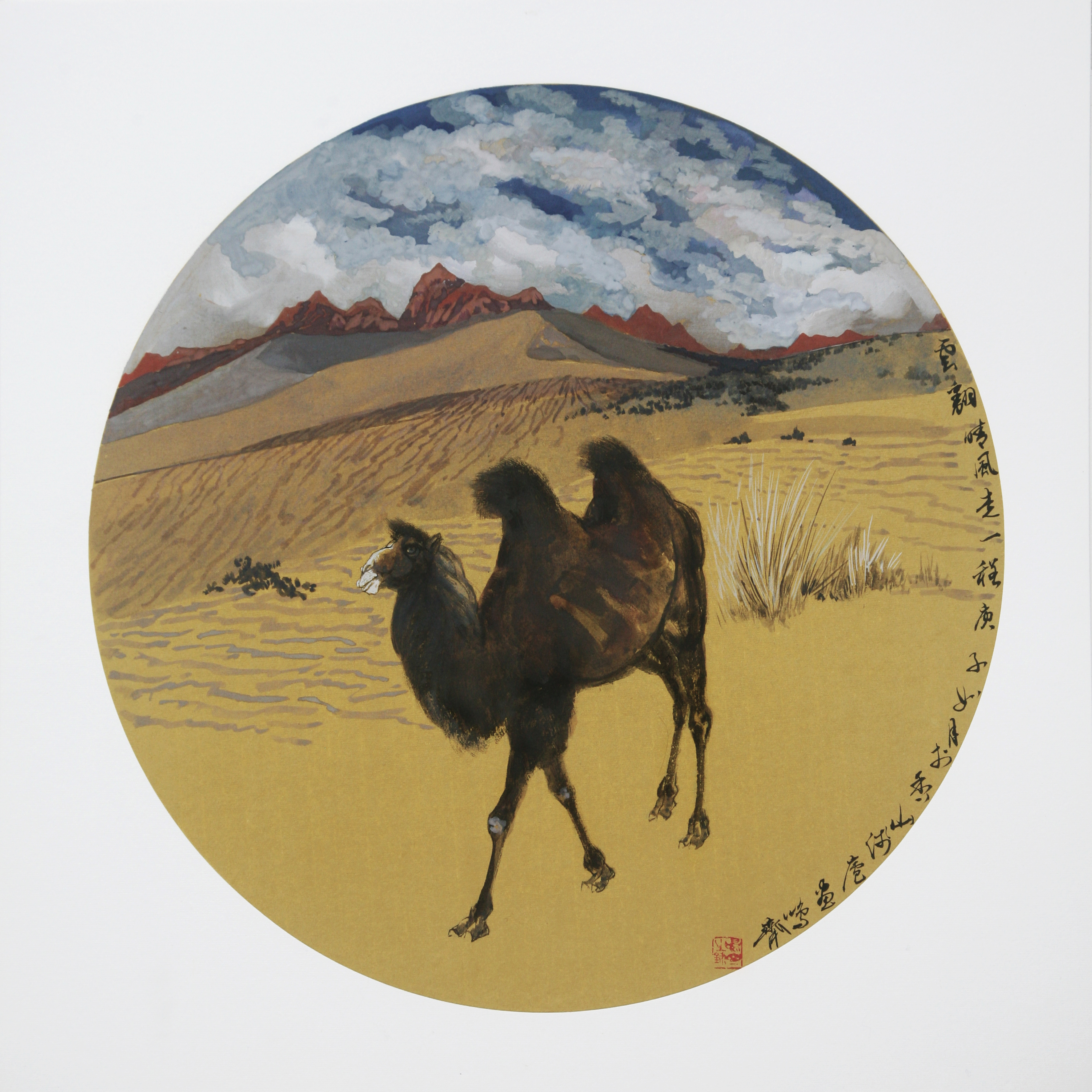 Camel Trek in the Sunny Desert