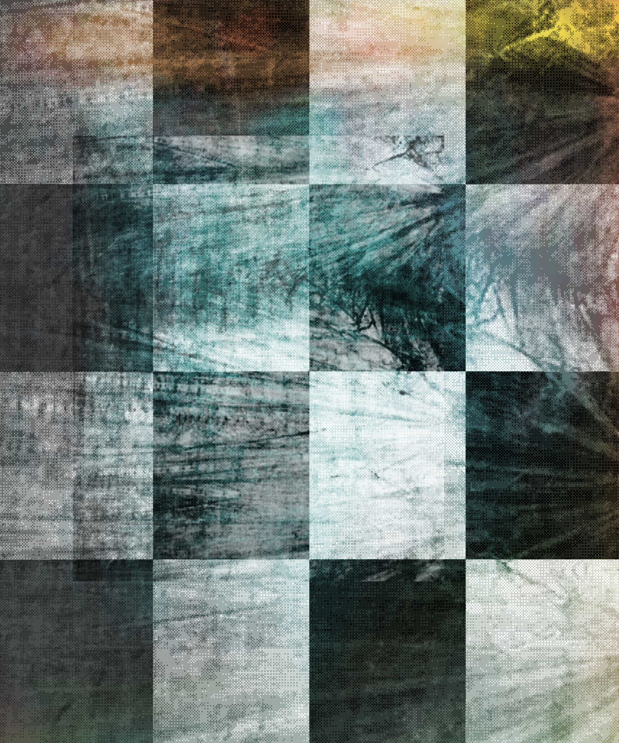 the spring begins with the first rainstorm #236