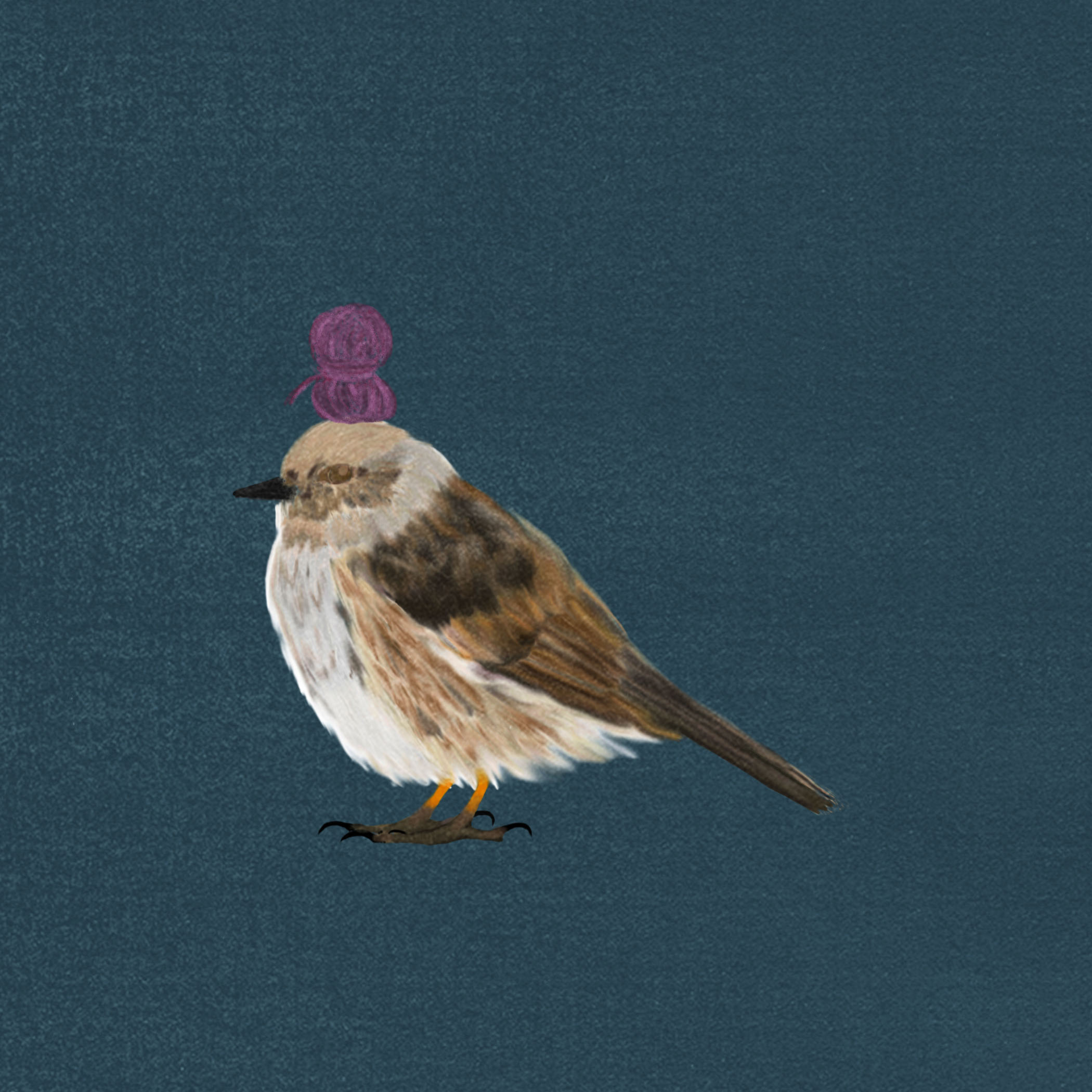 act one. hobby bird.