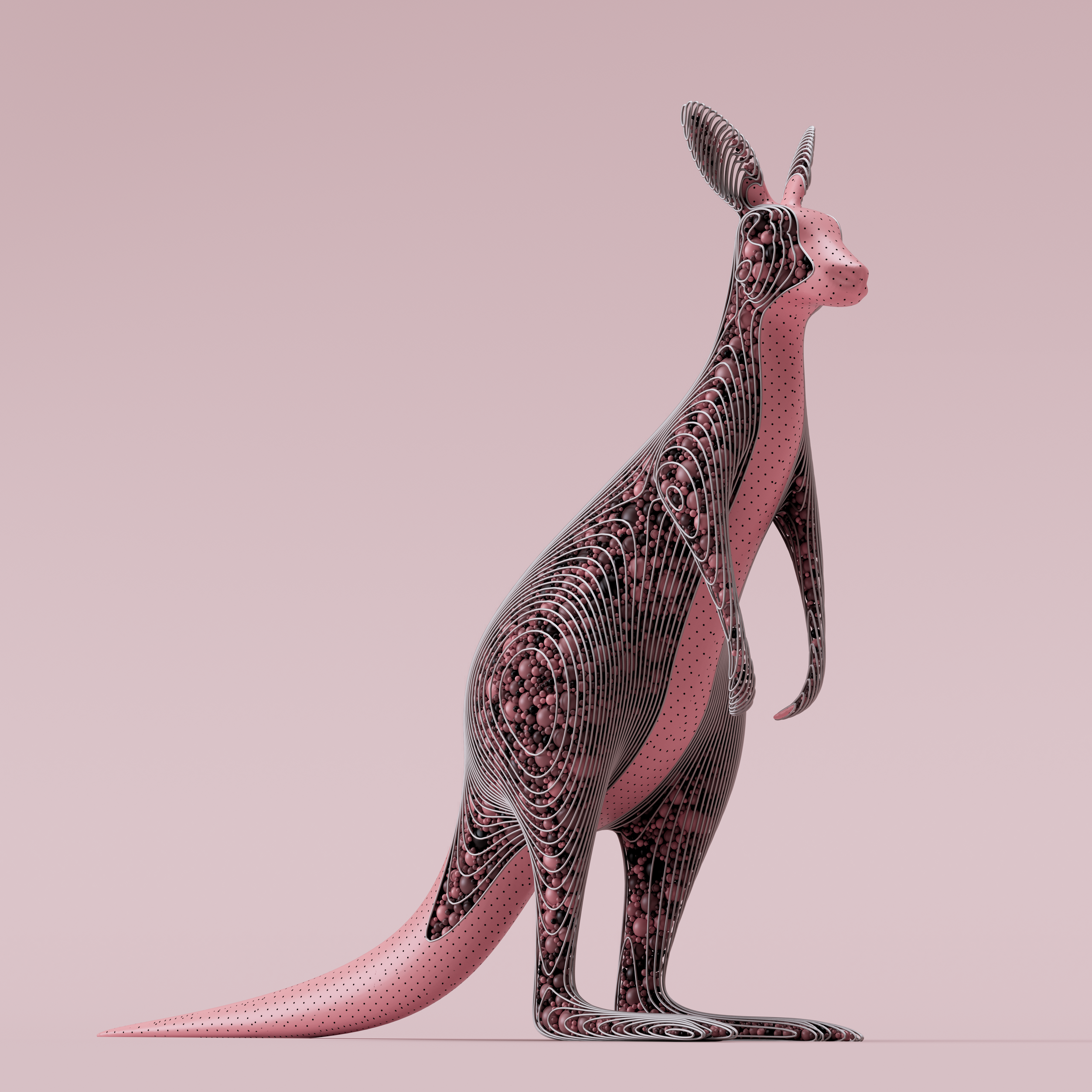 Kangaroo #61/448