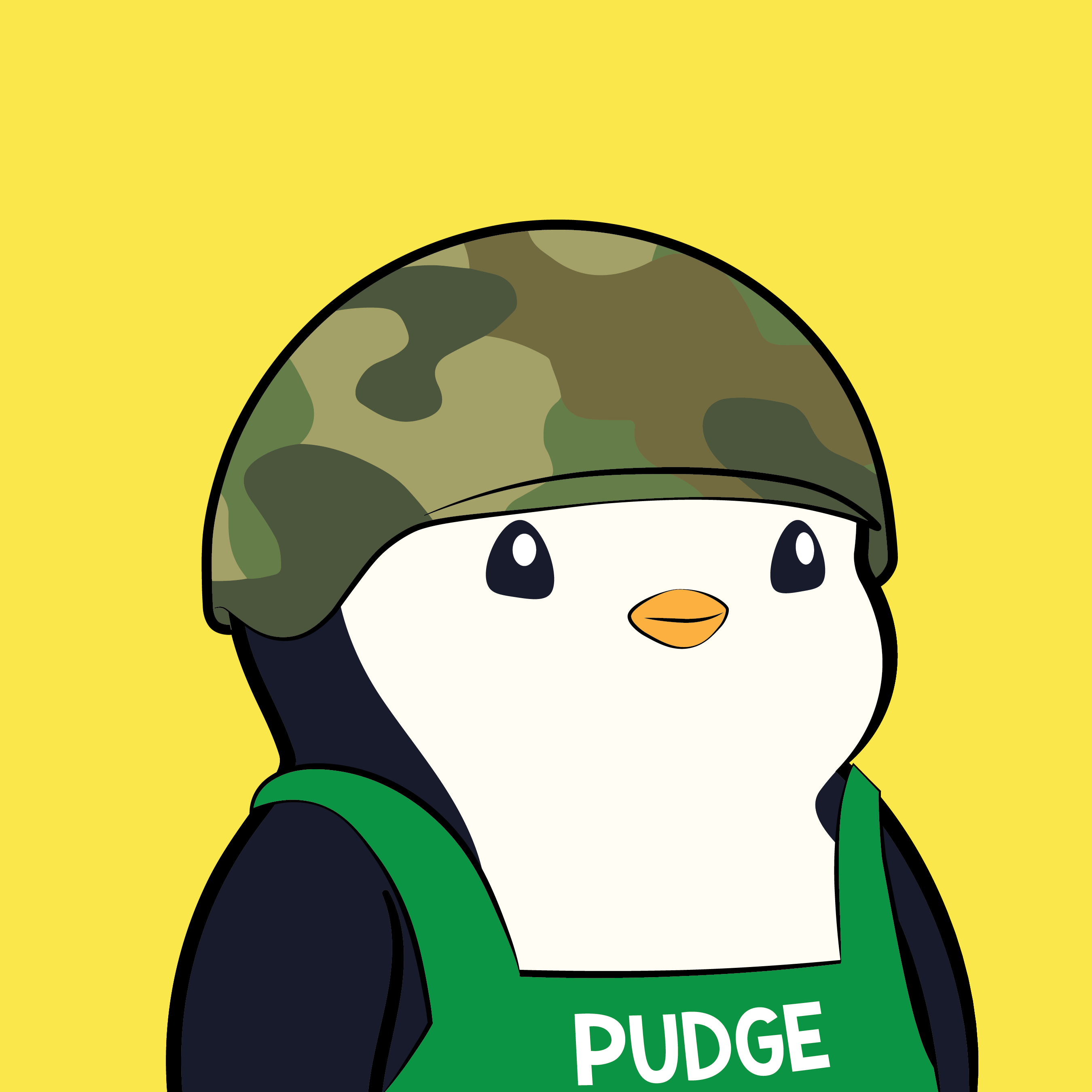 Pudgy #3484