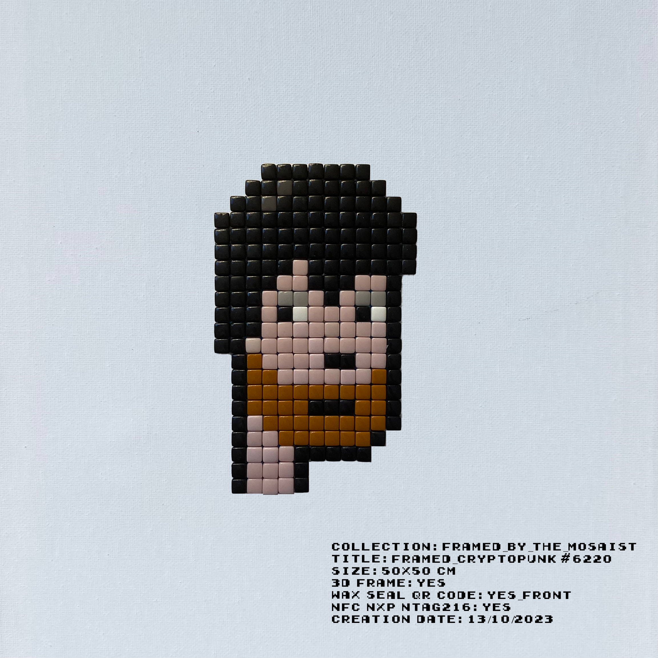 Framed_Cryptopunk_#6220