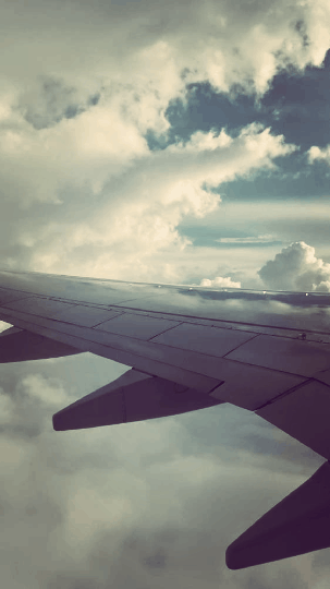 Travel