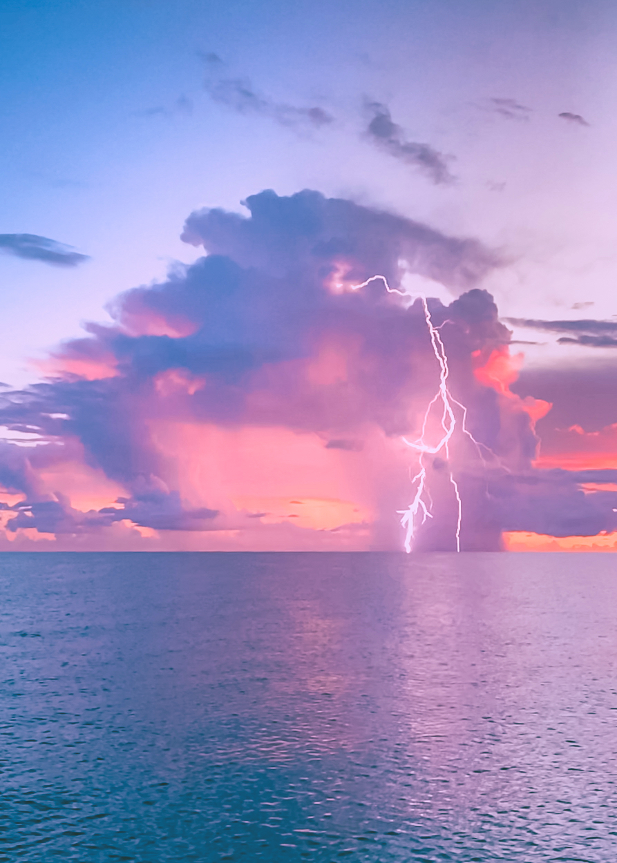 CS Community Collection #387