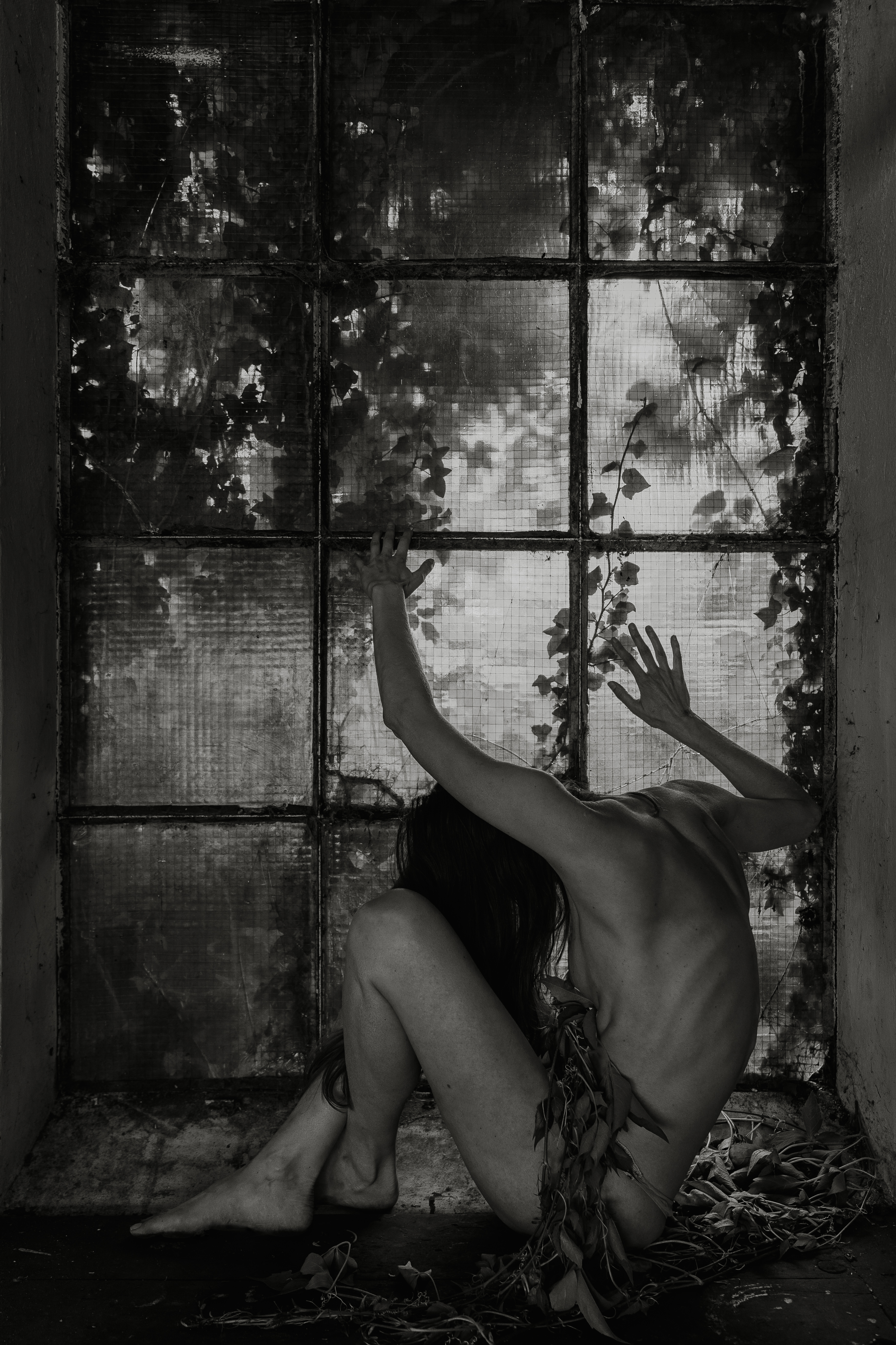 Nature's Remembrance 3