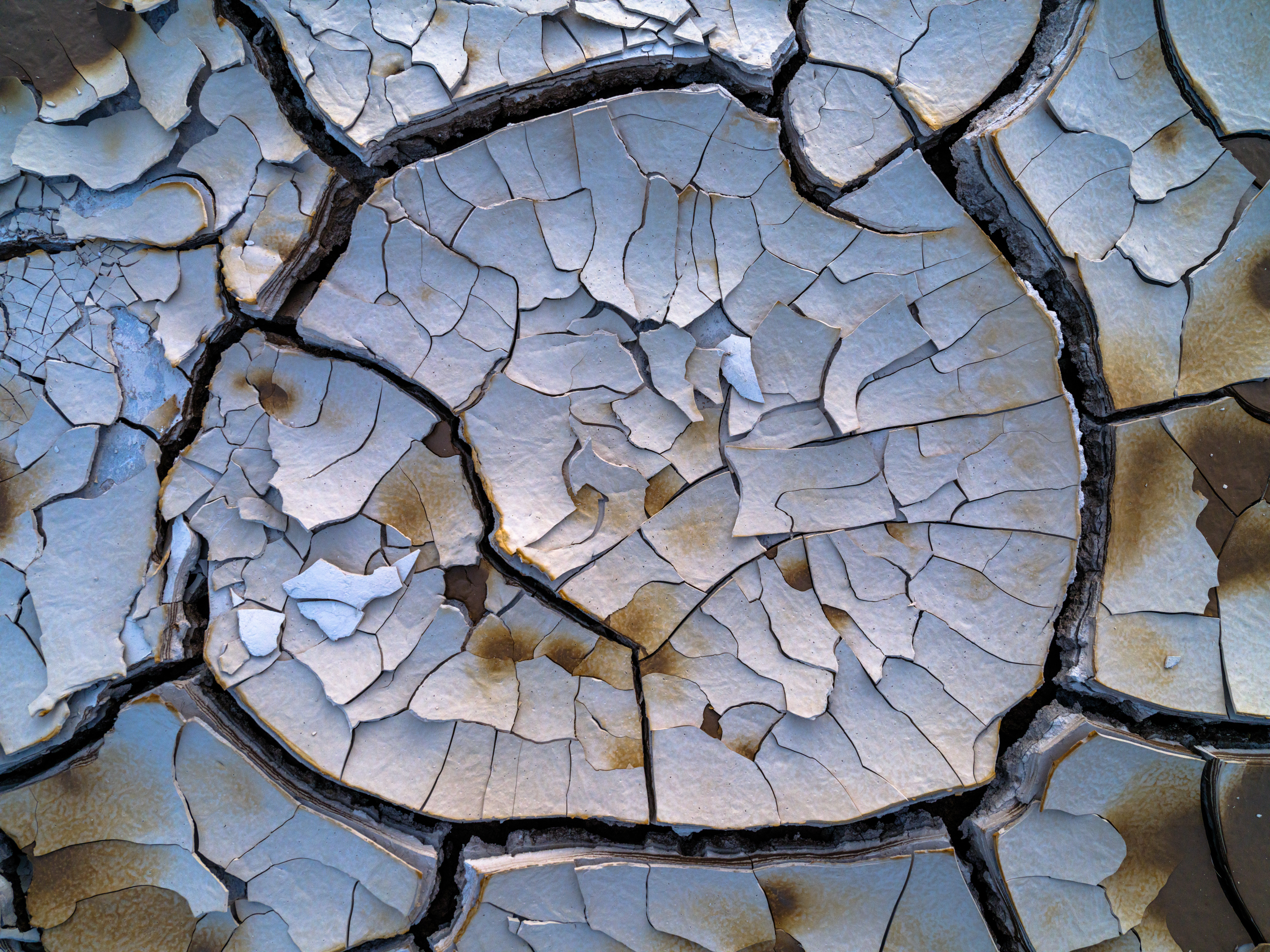 Eye of the Desert- ReGeneration #2