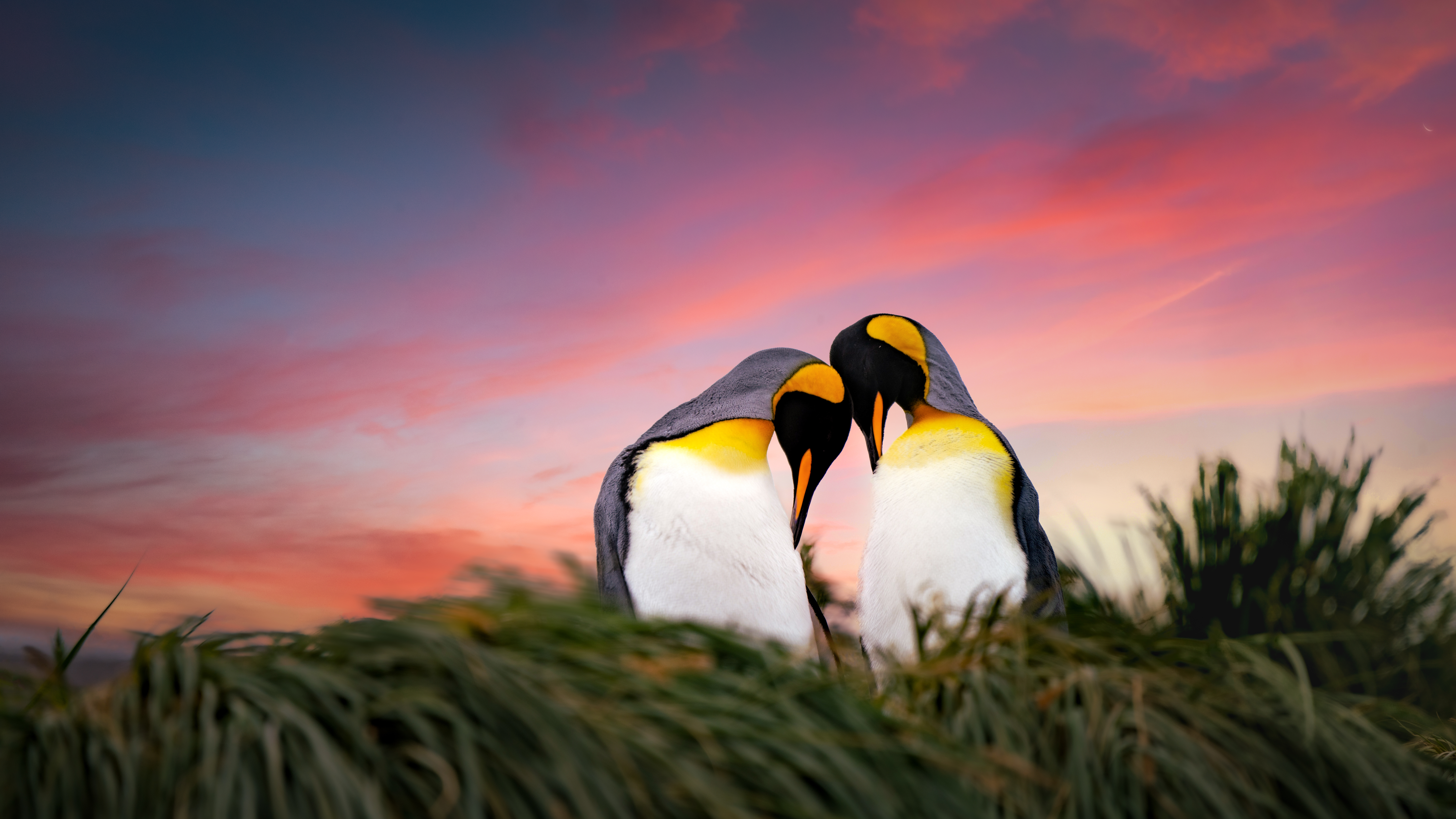 The Kingdom We Carry