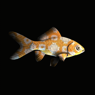 CryptoFish #1613