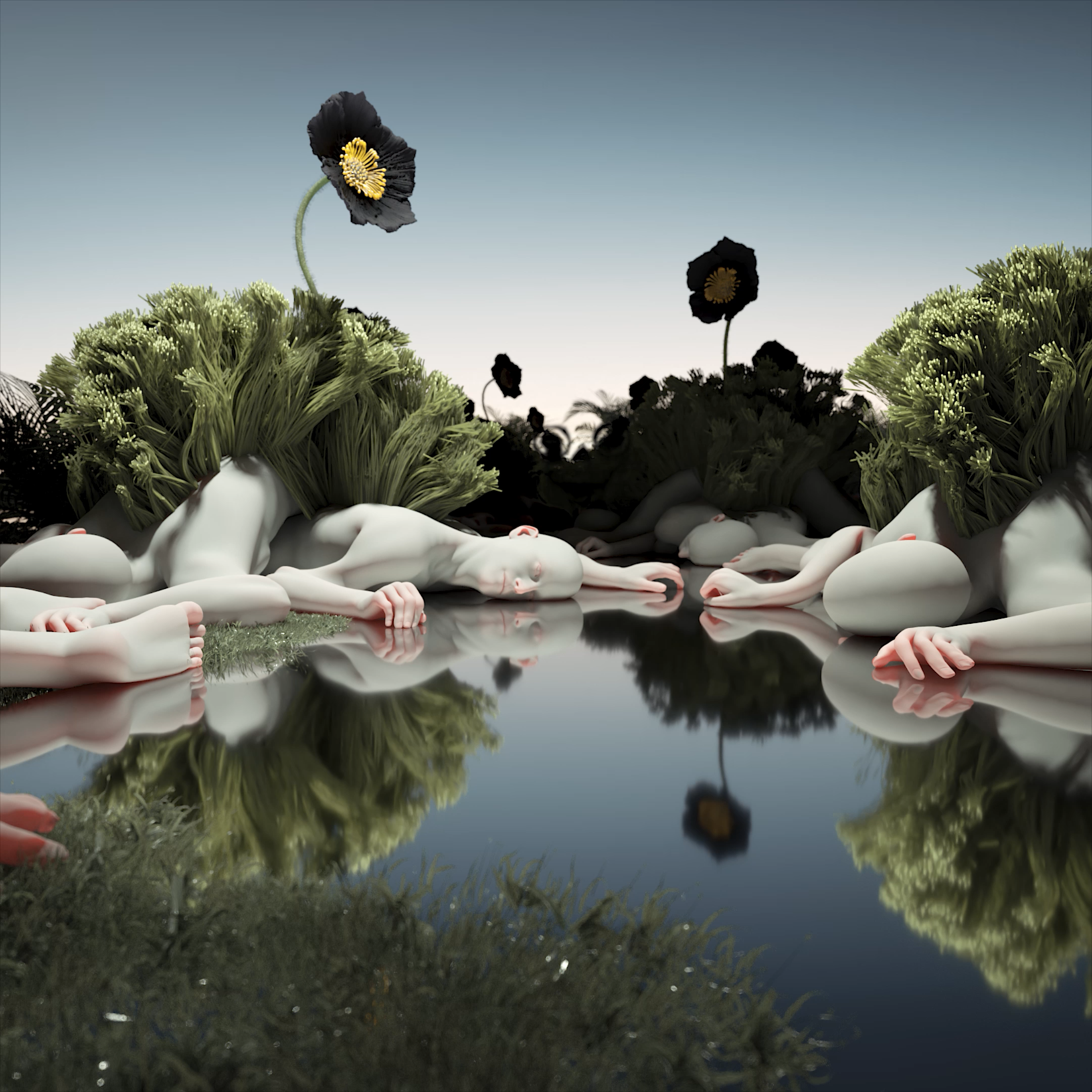 Substrate  #61