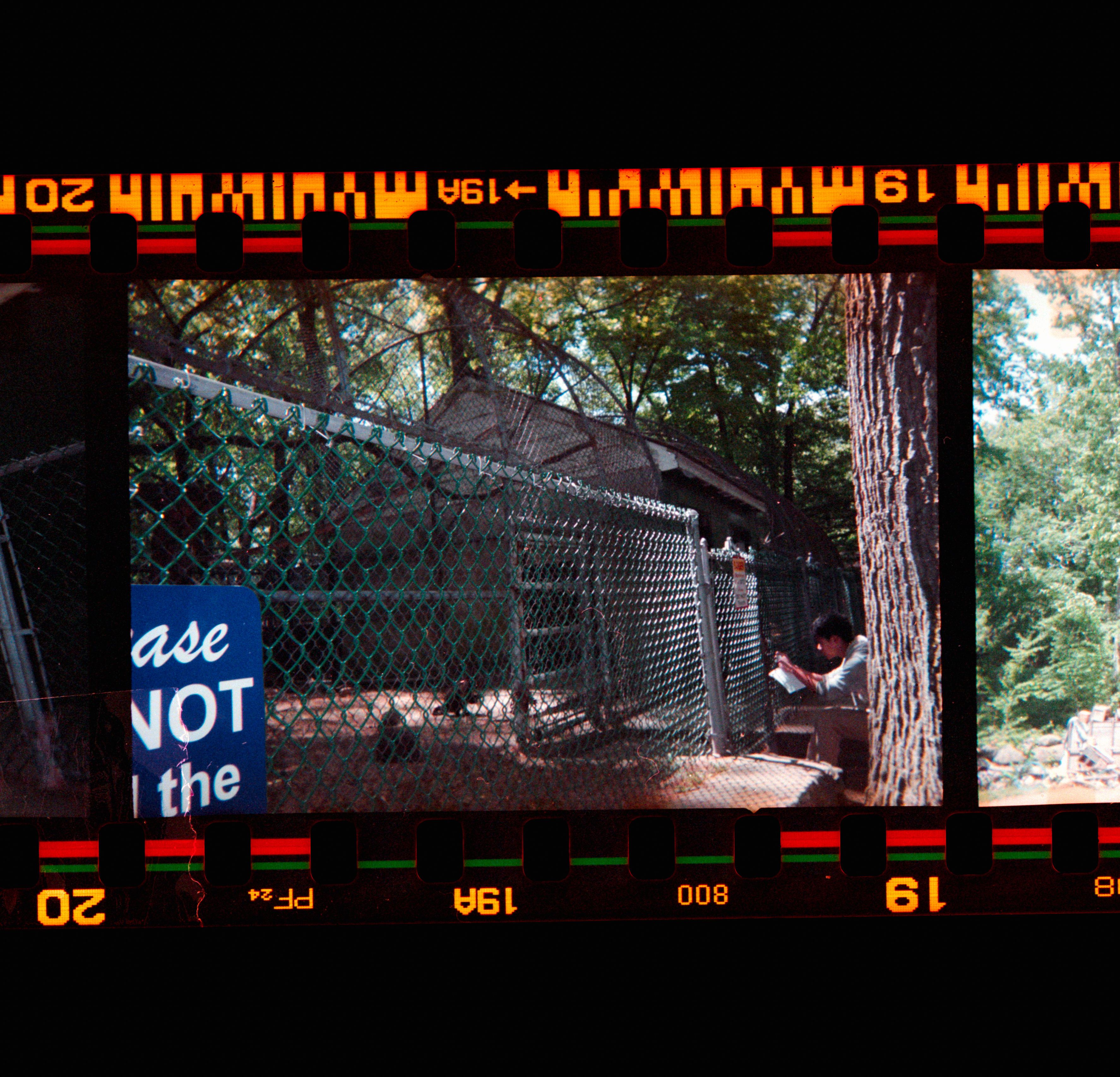 Kodachrome #1491