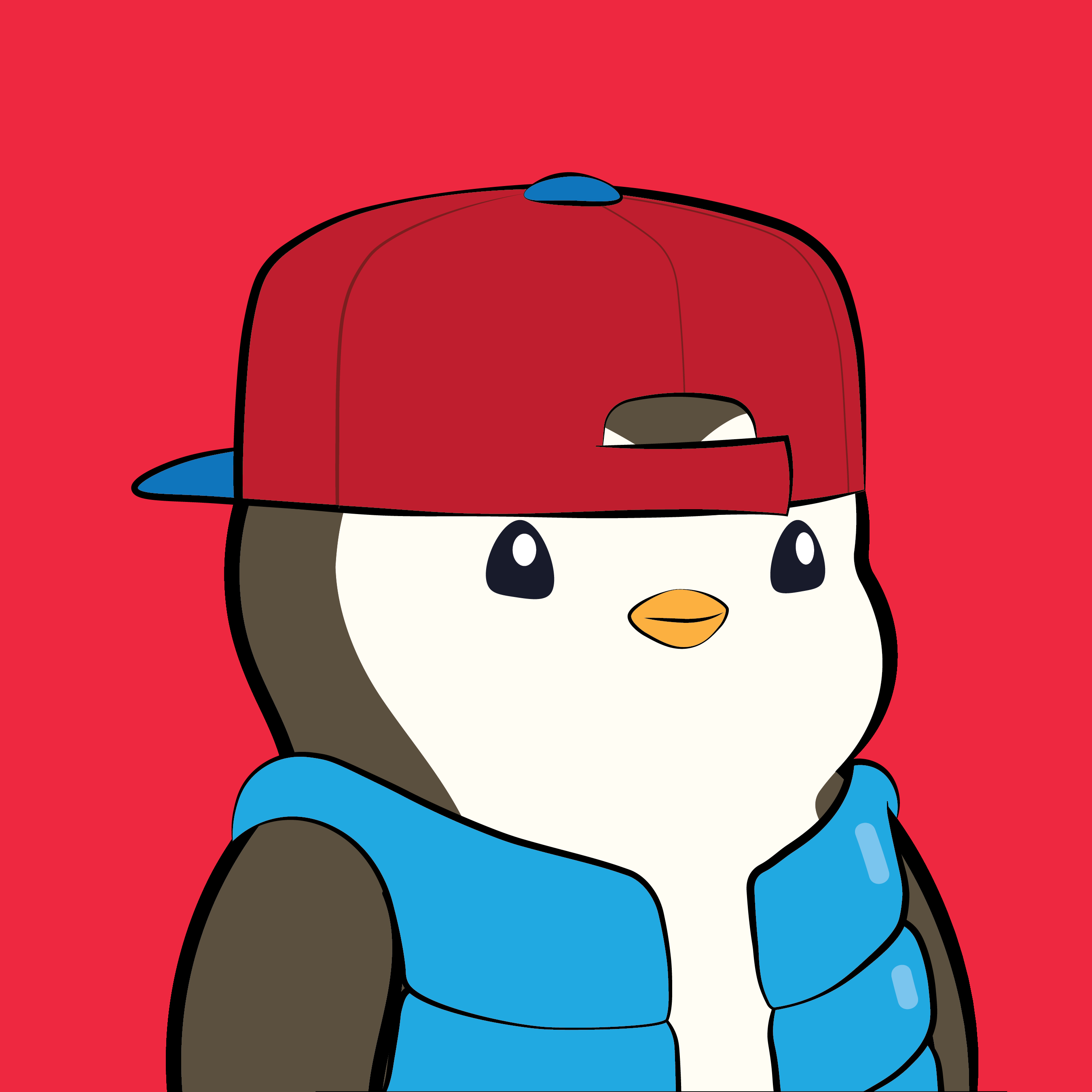 Pudgy Penguin #642