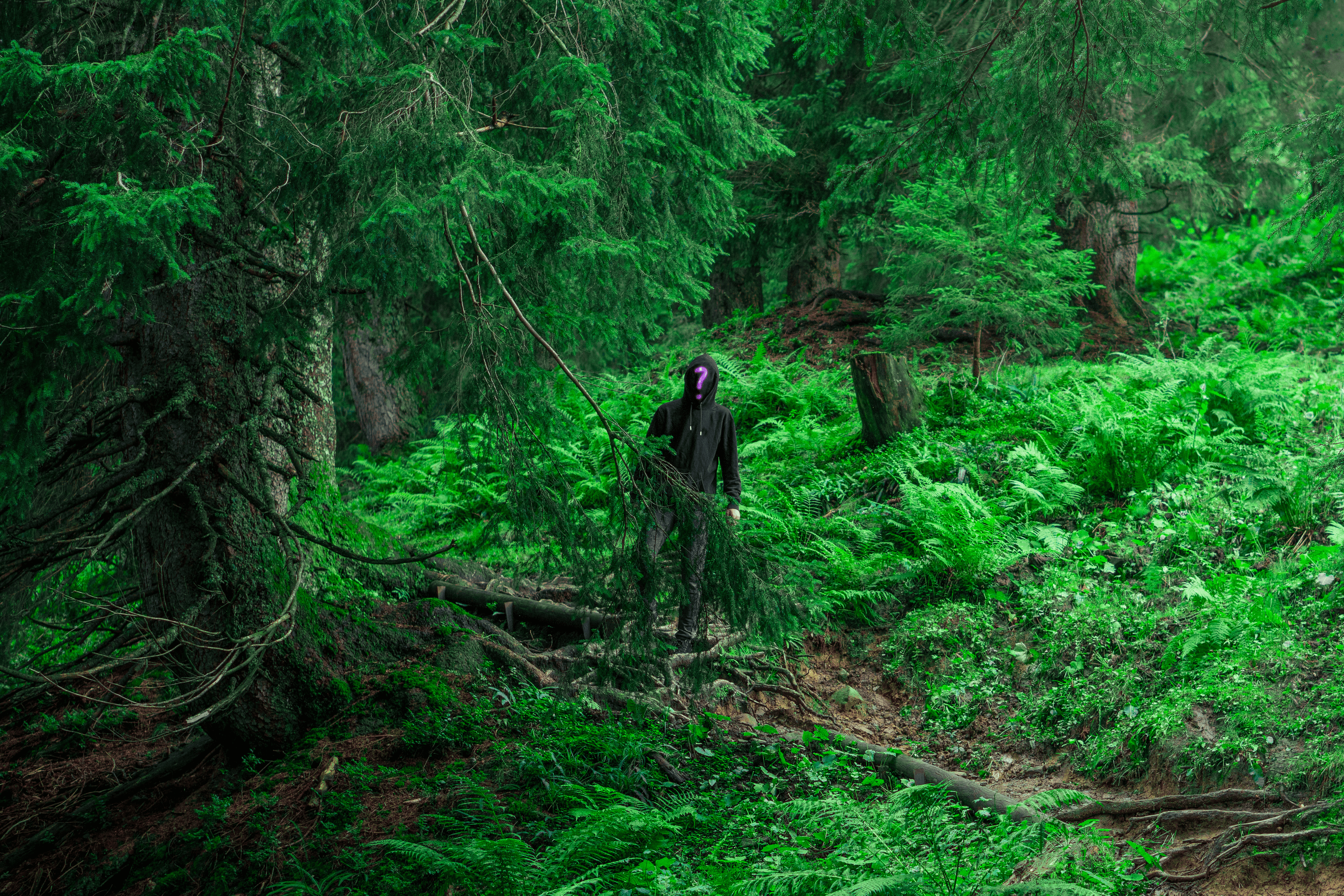 Nothing is Supposed to Make Sense #42