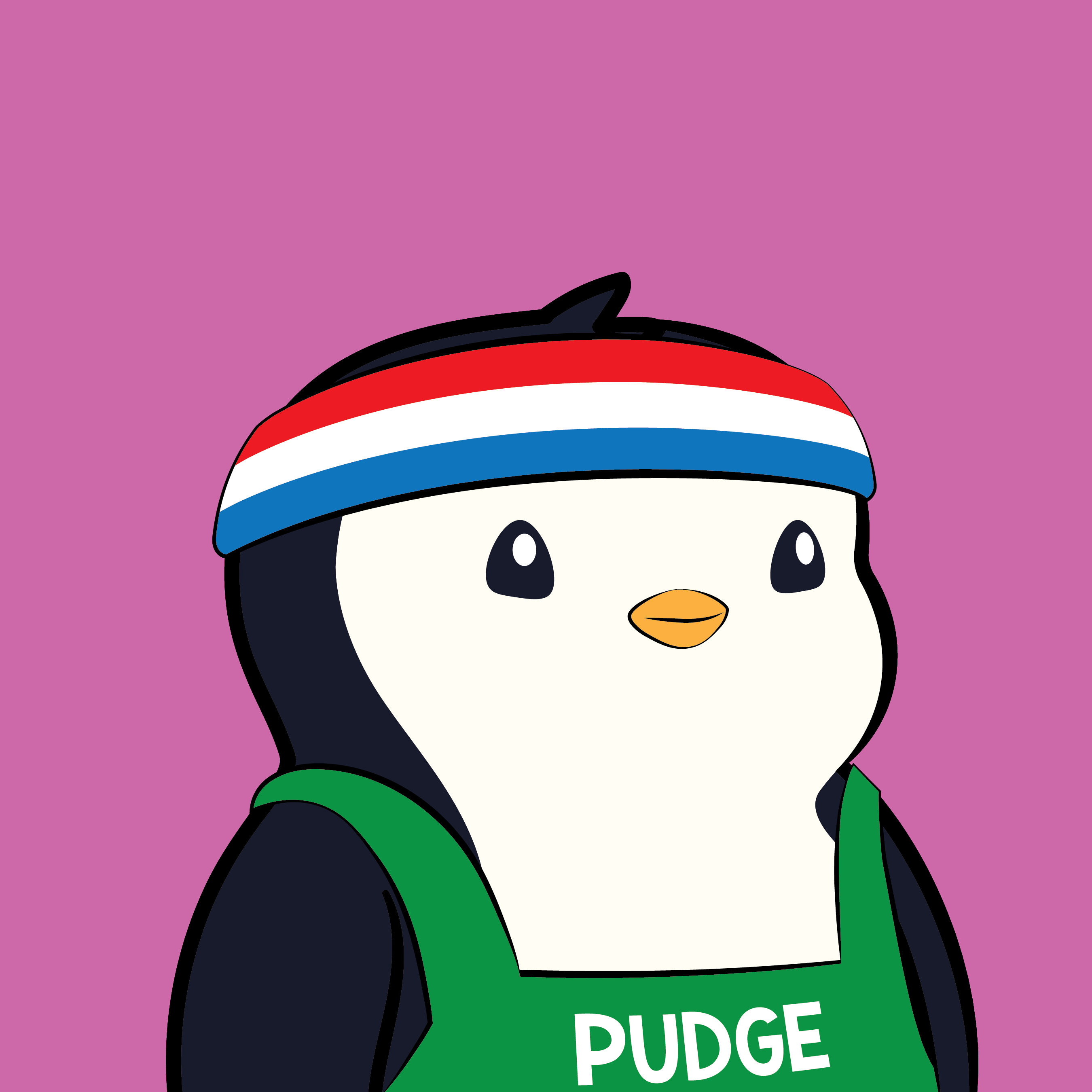 Pudgy #2061