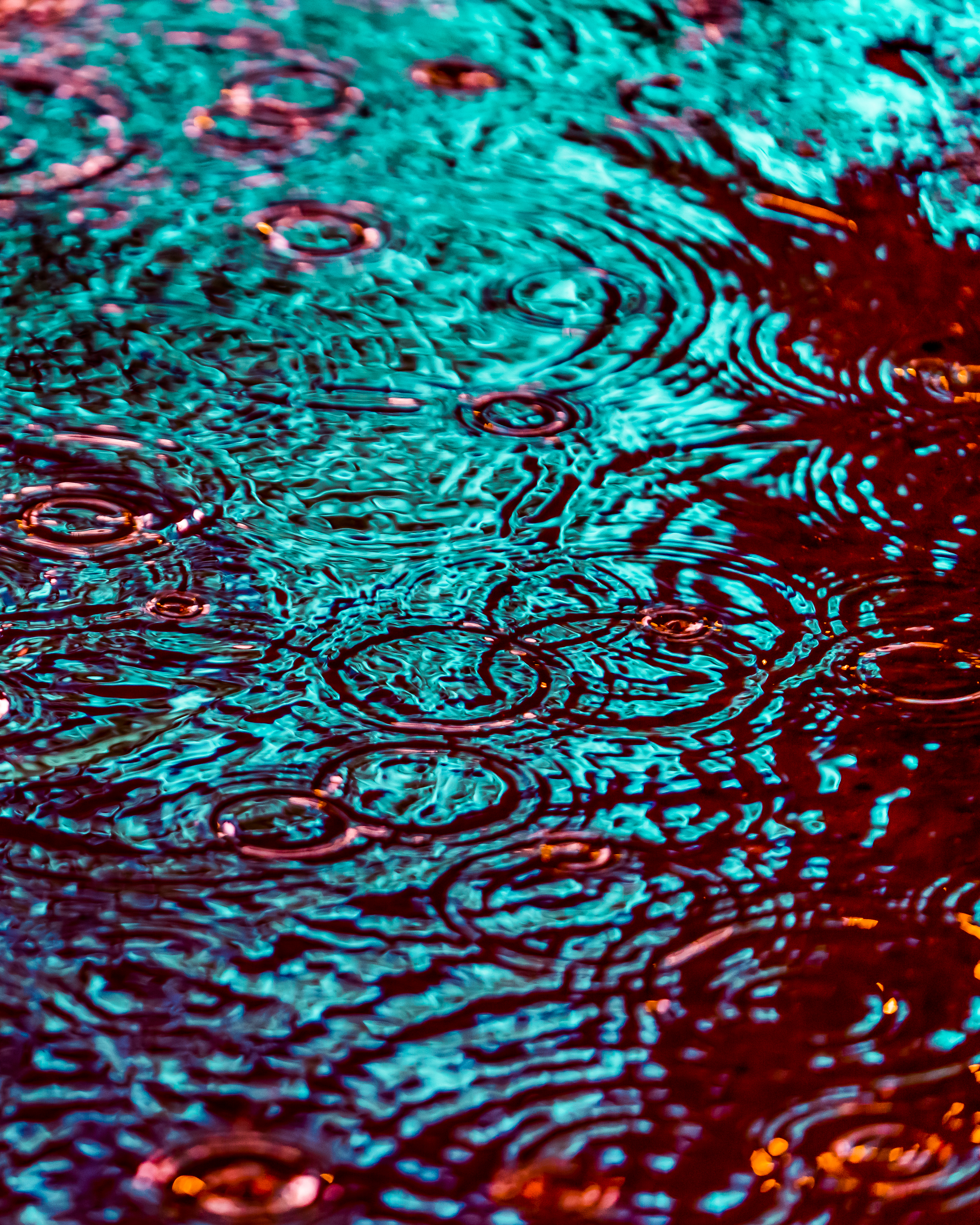 DRIP #115