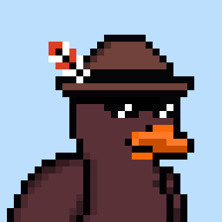 Fighting Duck #2563