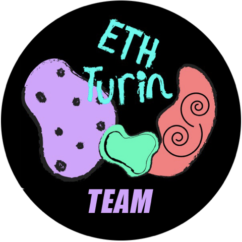 ETHTURIN 2020 - Team