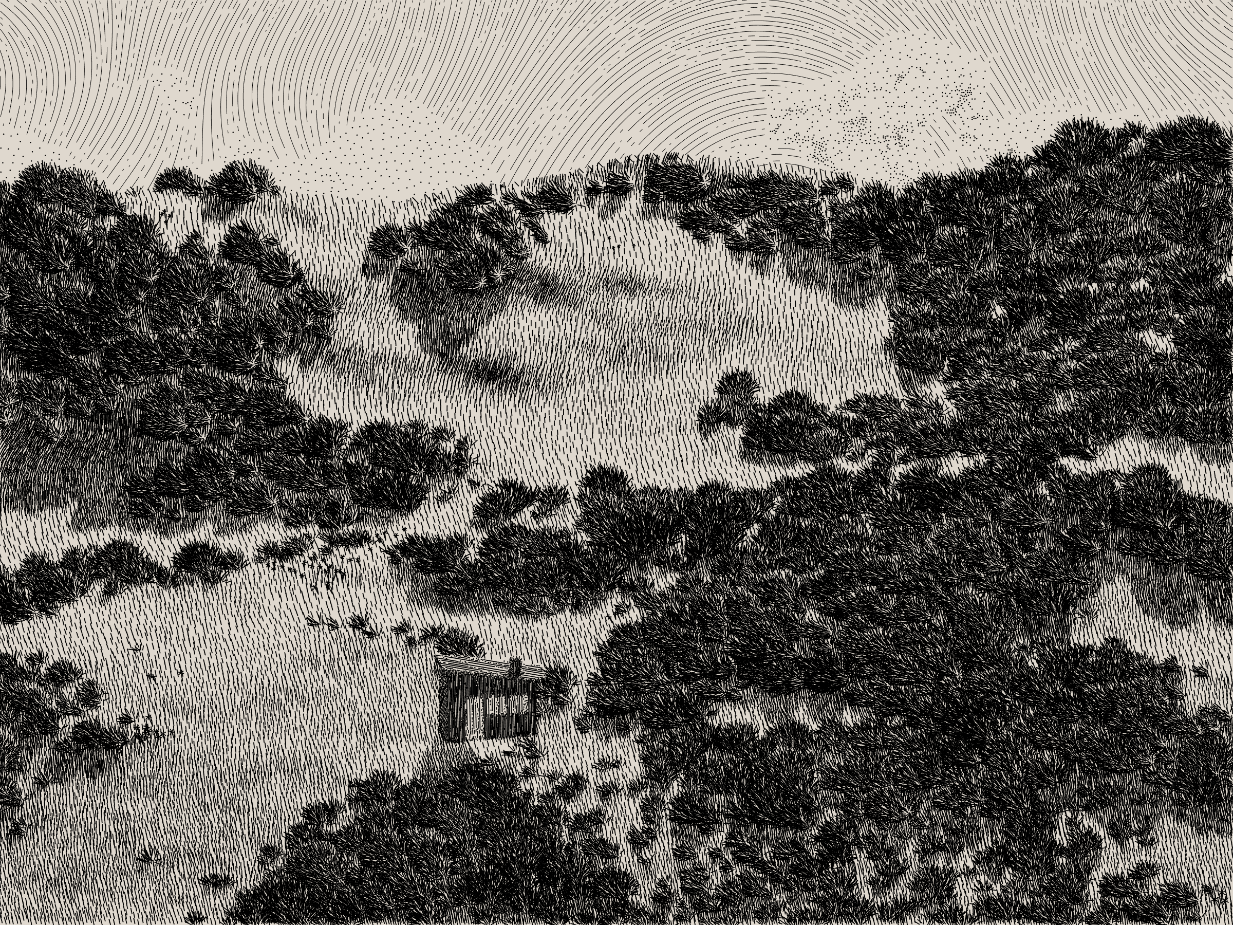 Life and Love and Nothing #111