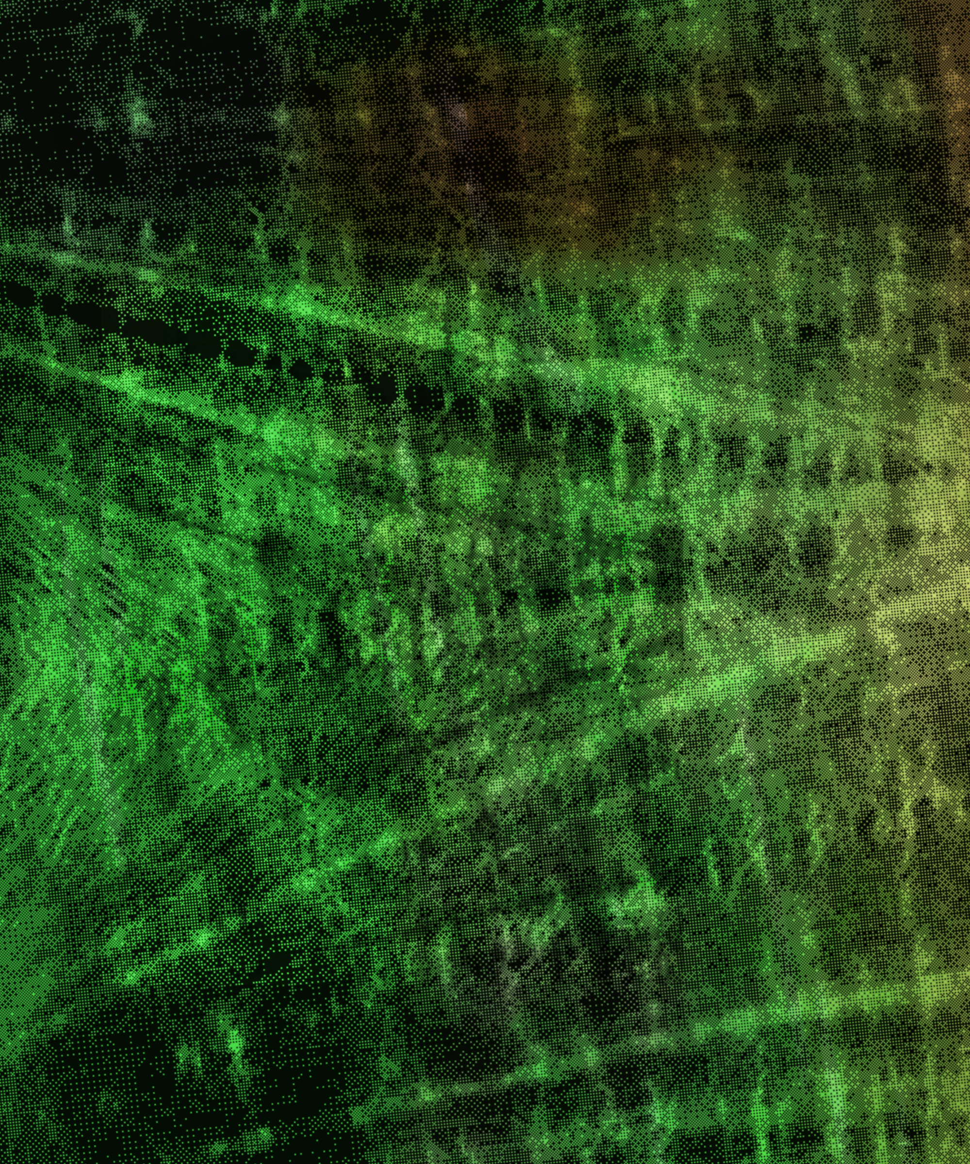 the spring begins with the first rainstorm #307